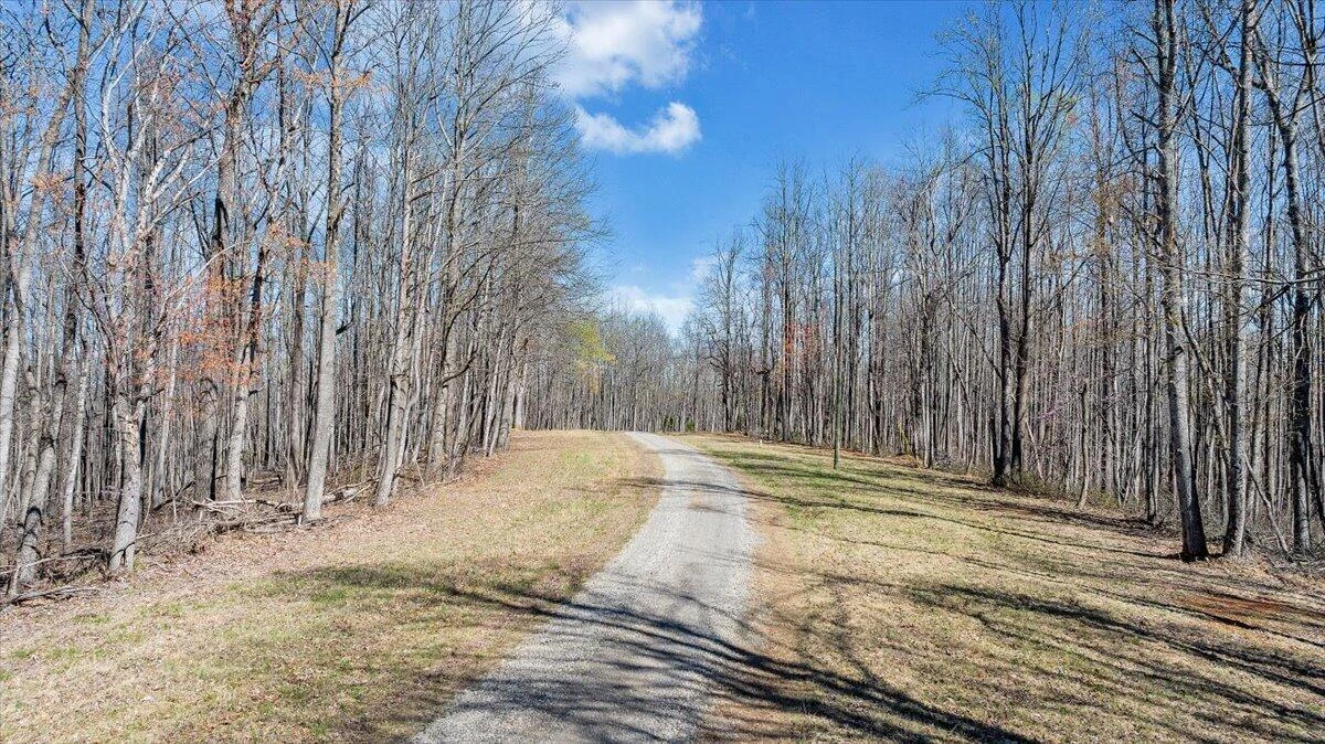 661 Briar Mountain RD - Photo 63