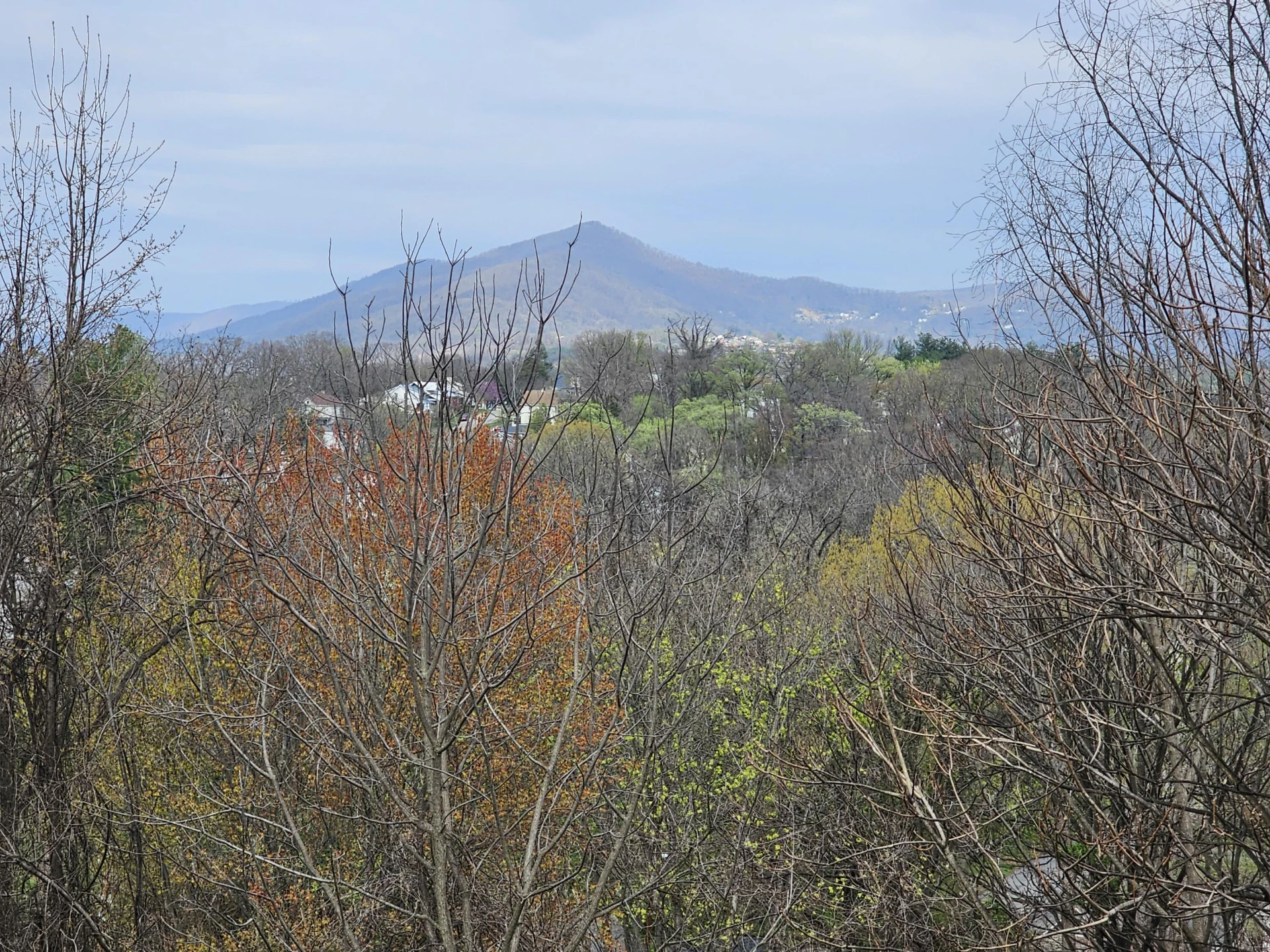 1332 Morningside ST - Photo 10