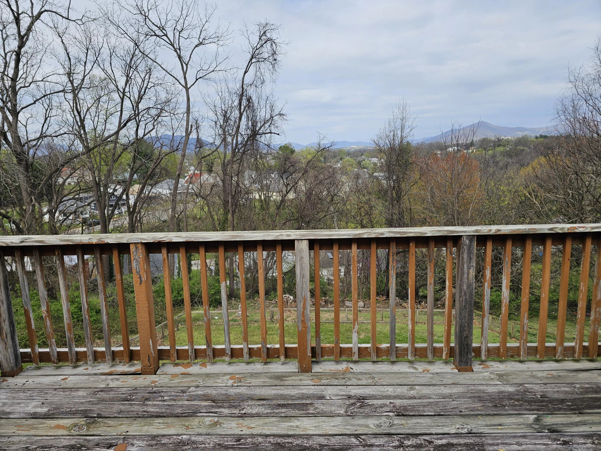 1332 Morningside ST - Photo 9
