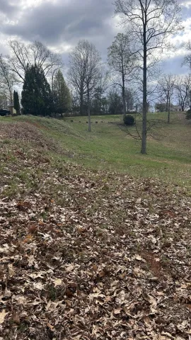 Lot 1 Gilfield DR, Forest, VA, 24551