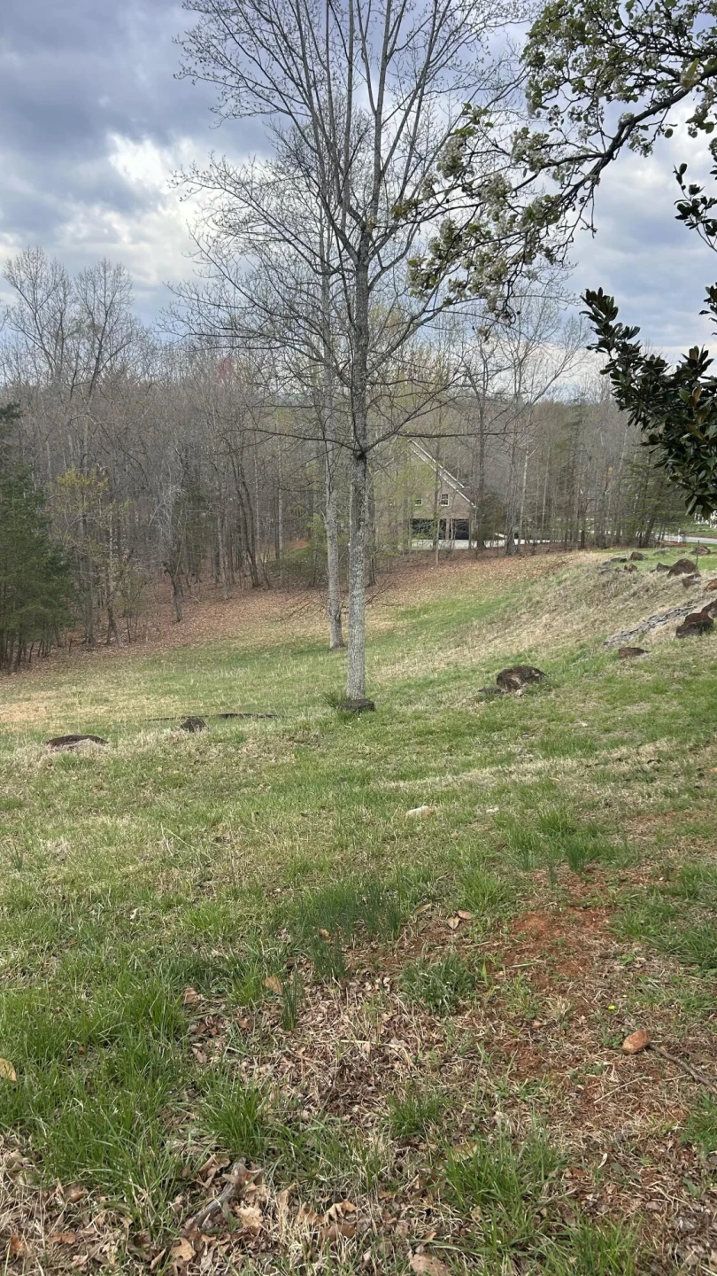 Lot 1 Gilfield DR - Photo 2