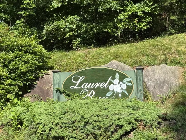 Tract 11 Mint LN, Callaway, VA, 24067