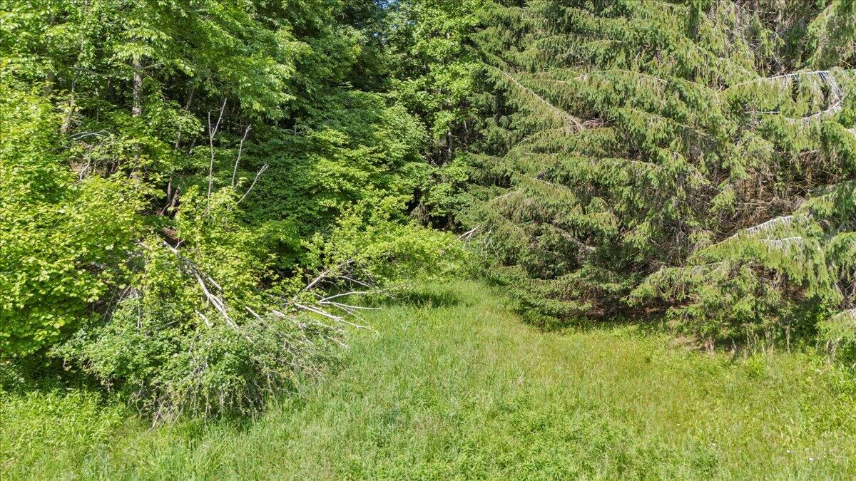 563 Dusty Rock RD - Photo 10