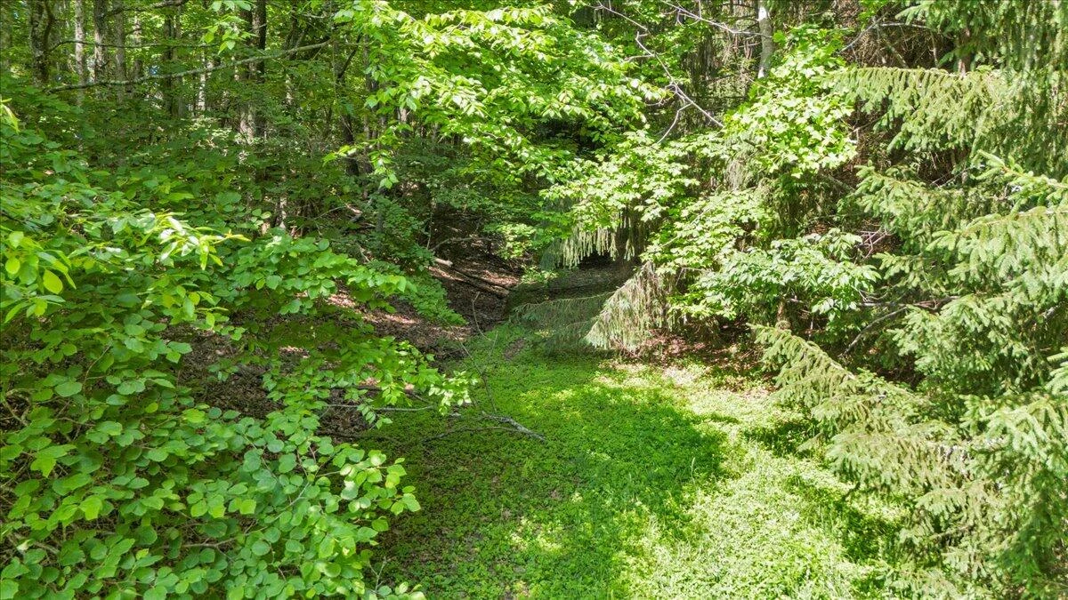 563 Dusty Rock RD - Photo 11