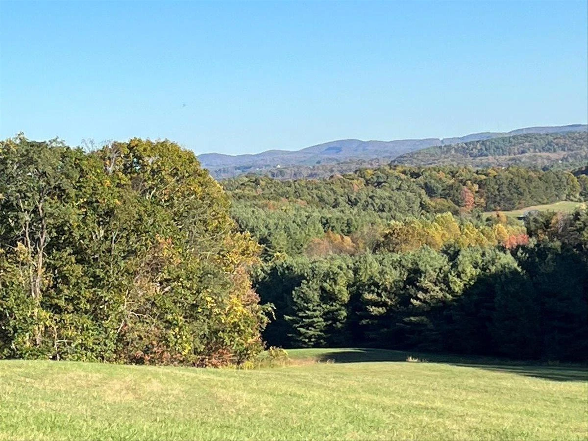 563 Dusty Rock RD - Photo 26