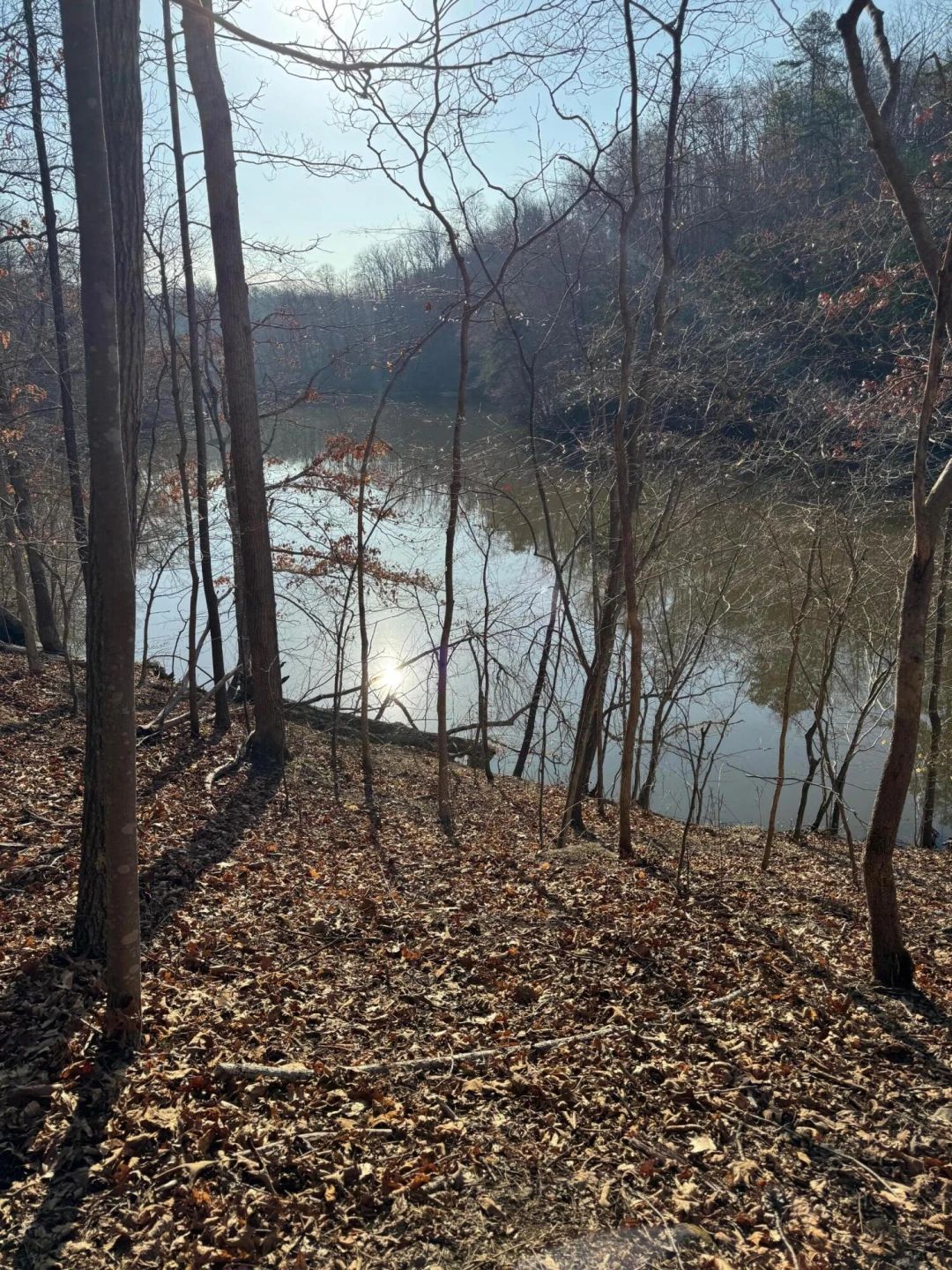 Lot 26 Poplar DR