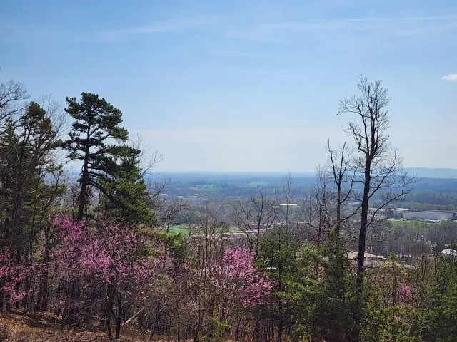 Lot 44 Summit DR