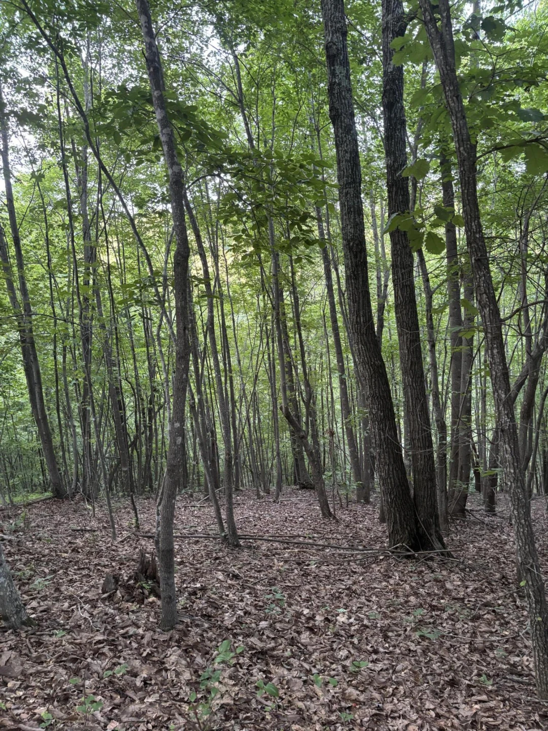  - Photo 3