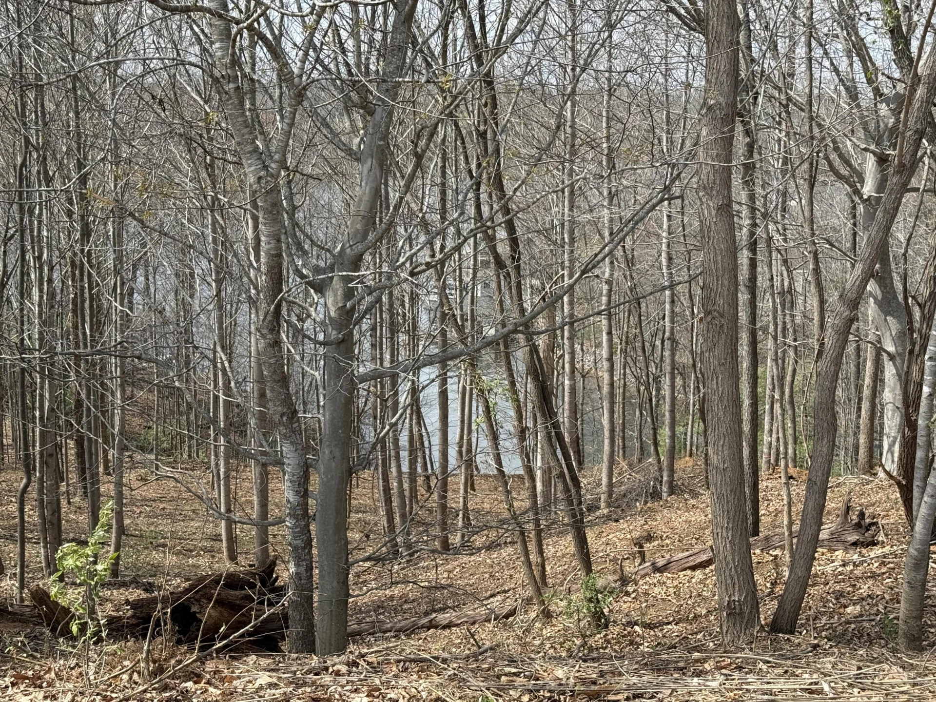 LOT 13 MINNOW LN - Photo 10