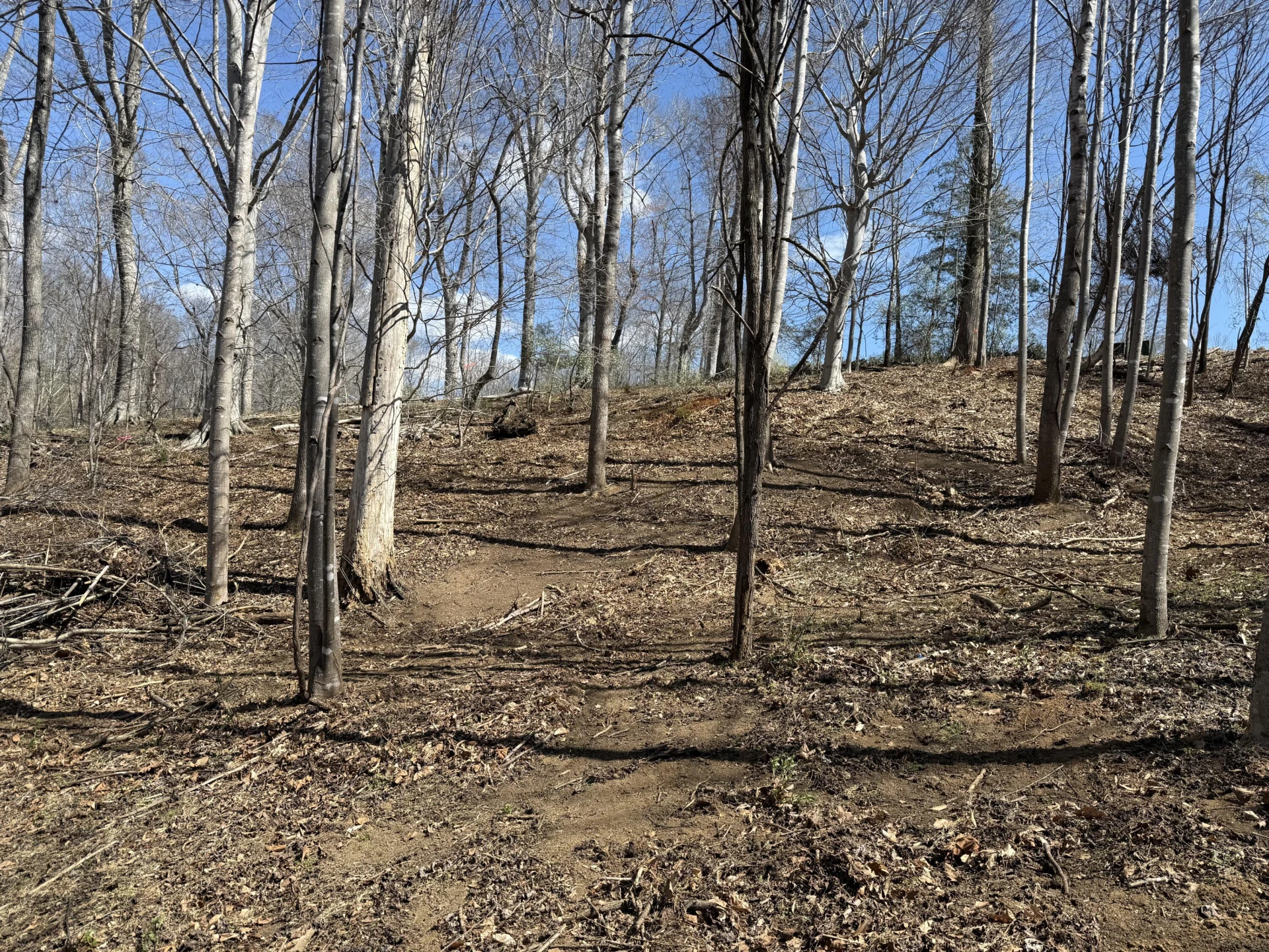 LOT 13 MINNOW LN - Photo 2