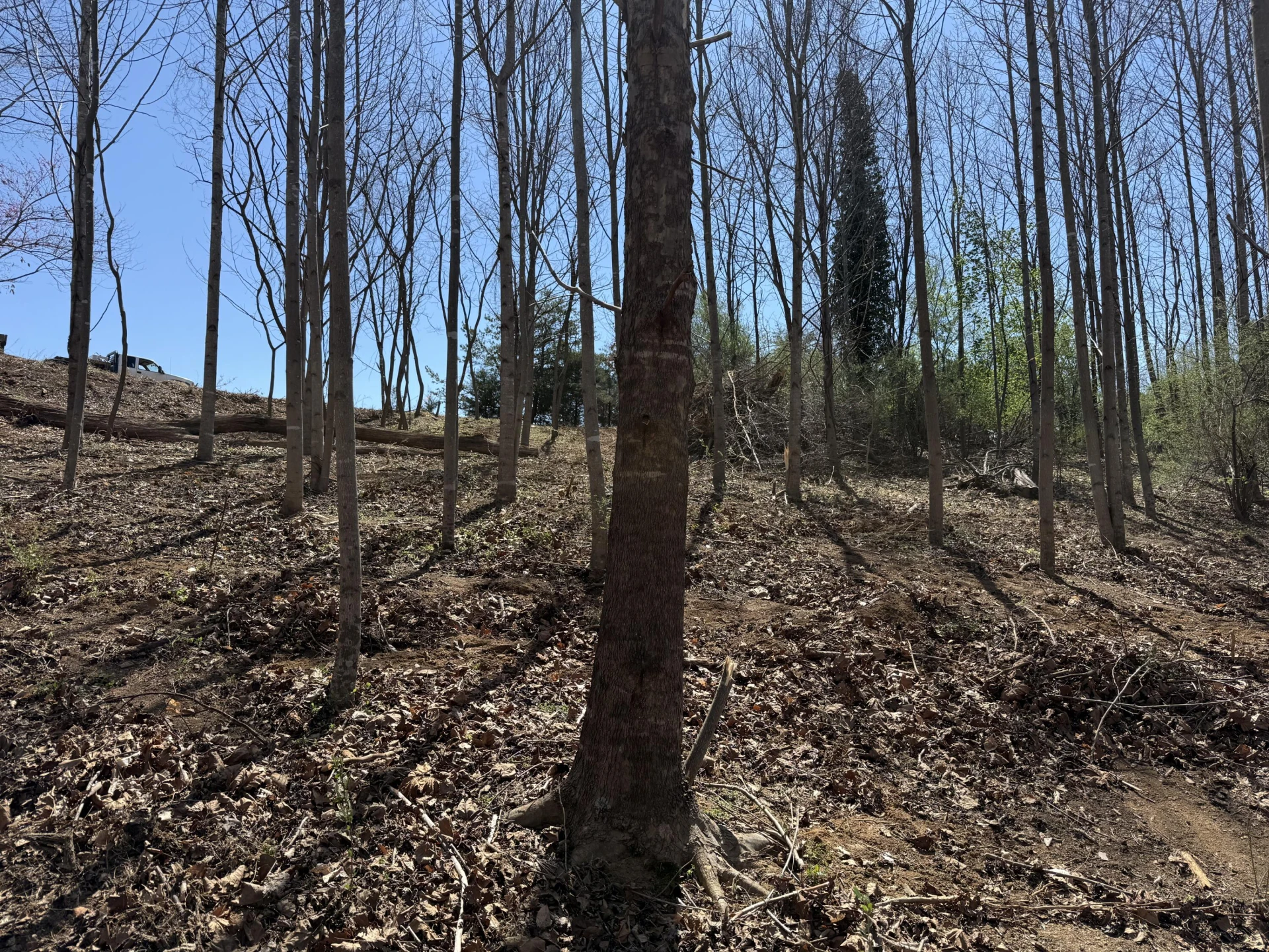 LOT 13 MINNOW LN - Photo 3