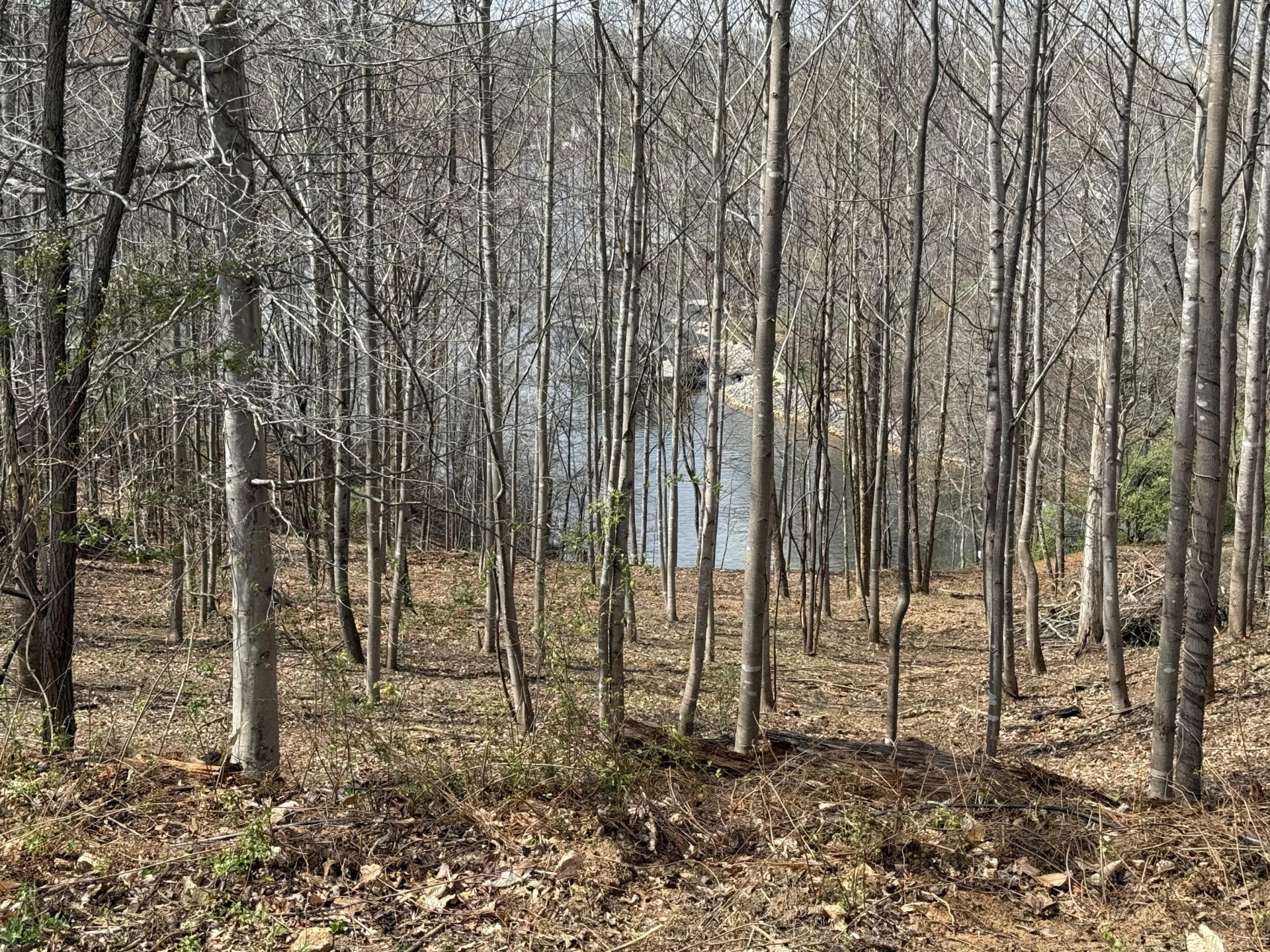 LOT 13 MINNOW LN - Photo 9
