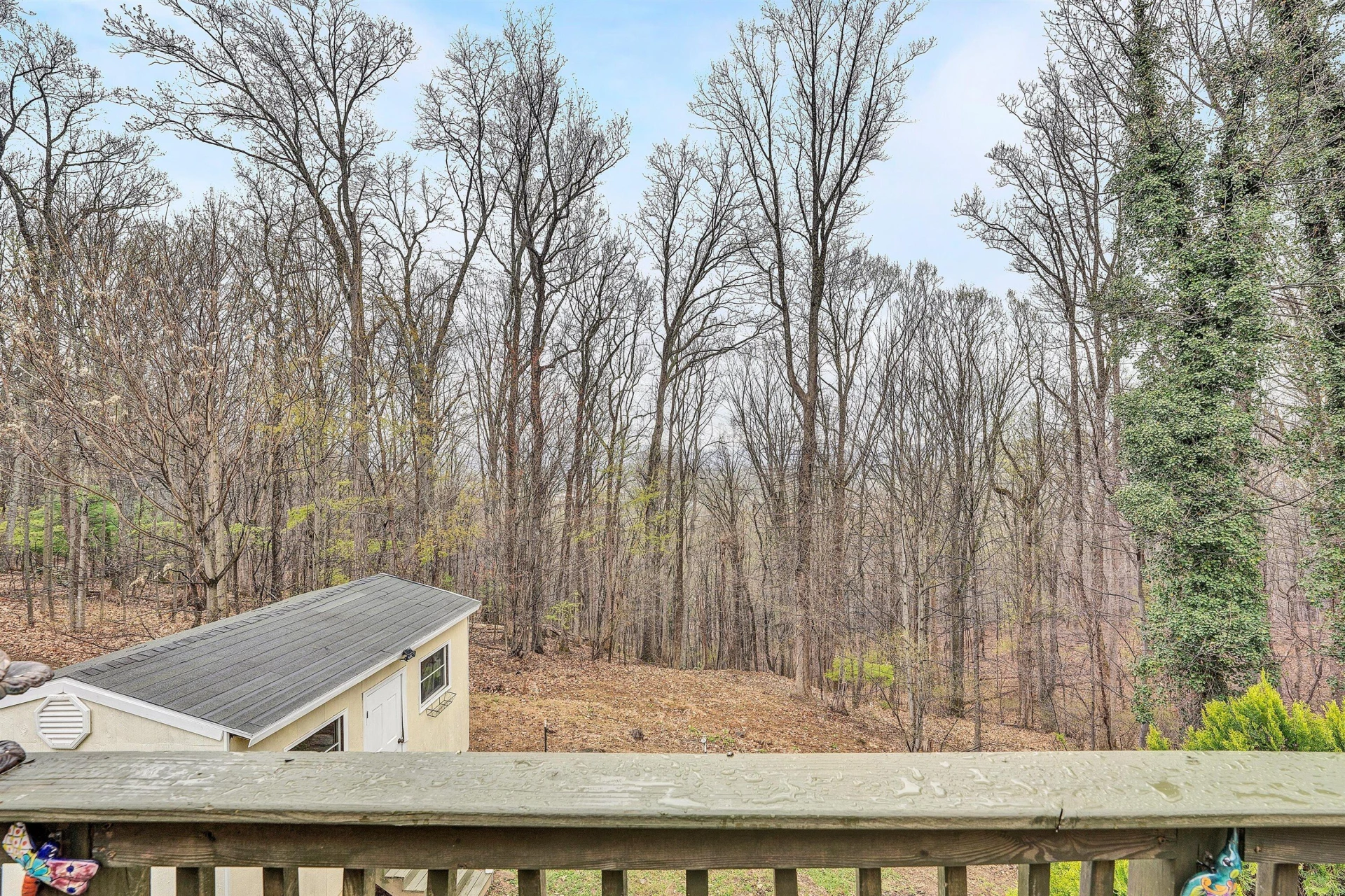 1005 Chestnut Mountain DR - Photo 48