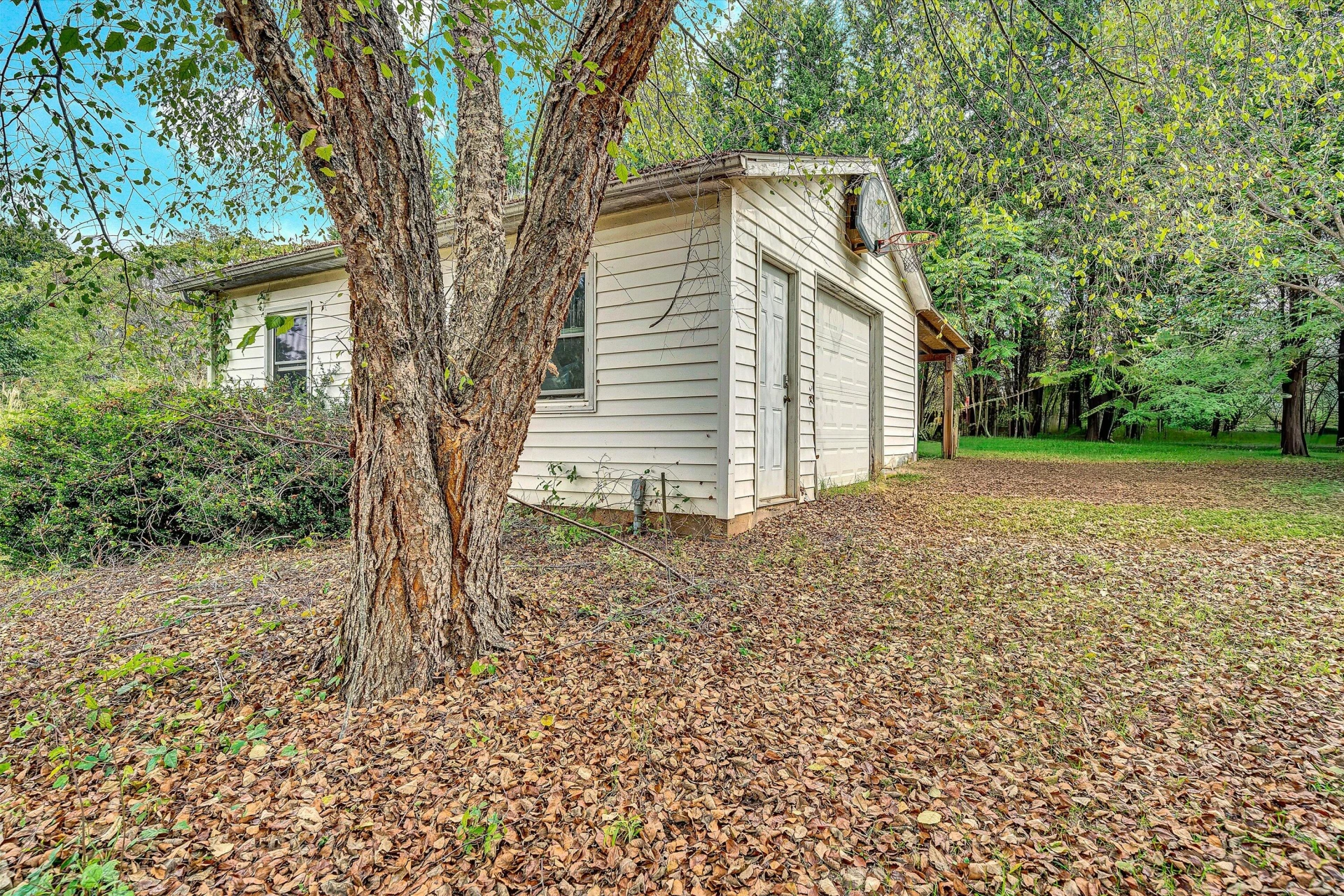 83 Springview CT - Photo 61