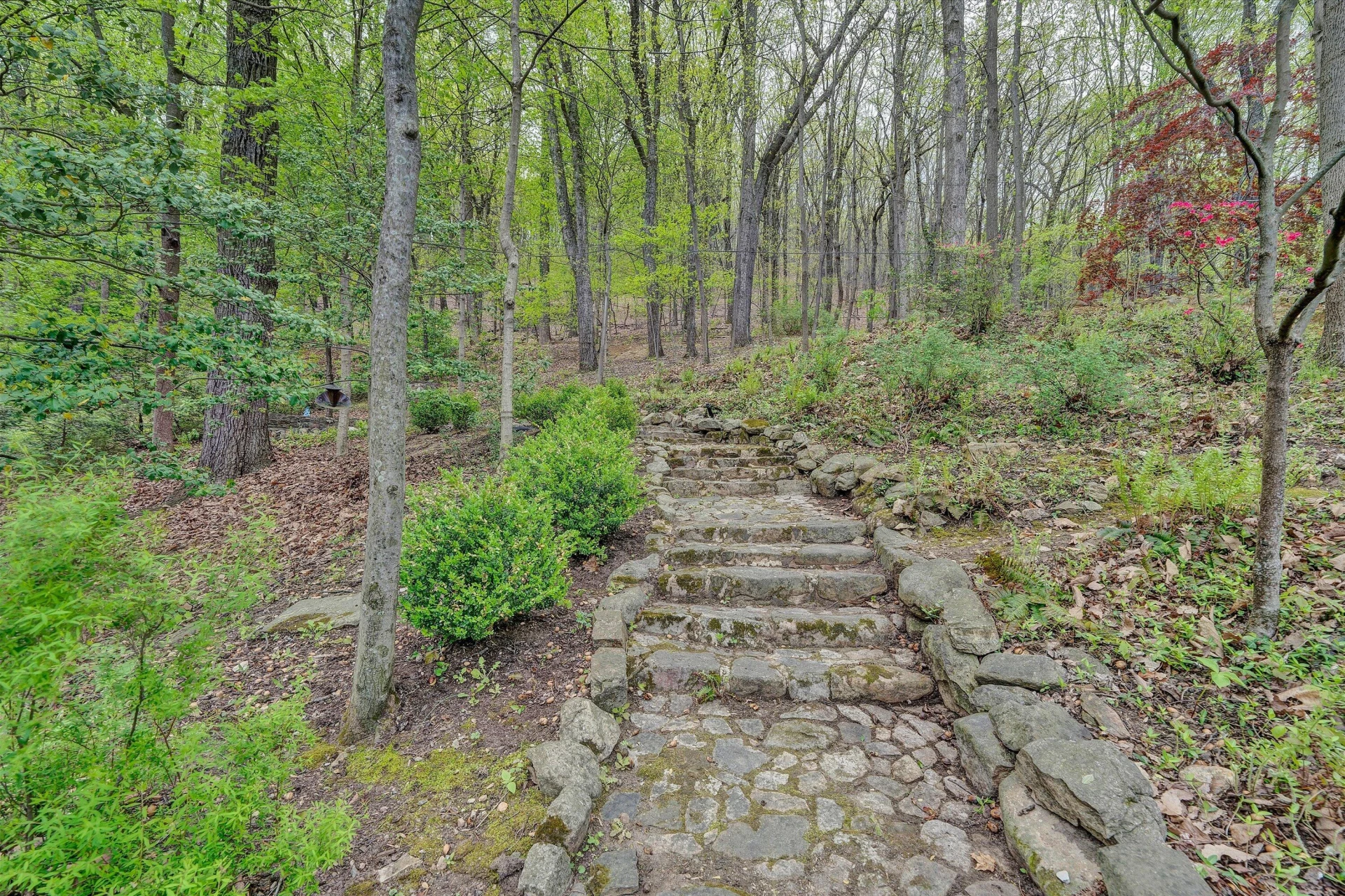 2438 Robin Hood RD - Photo 72