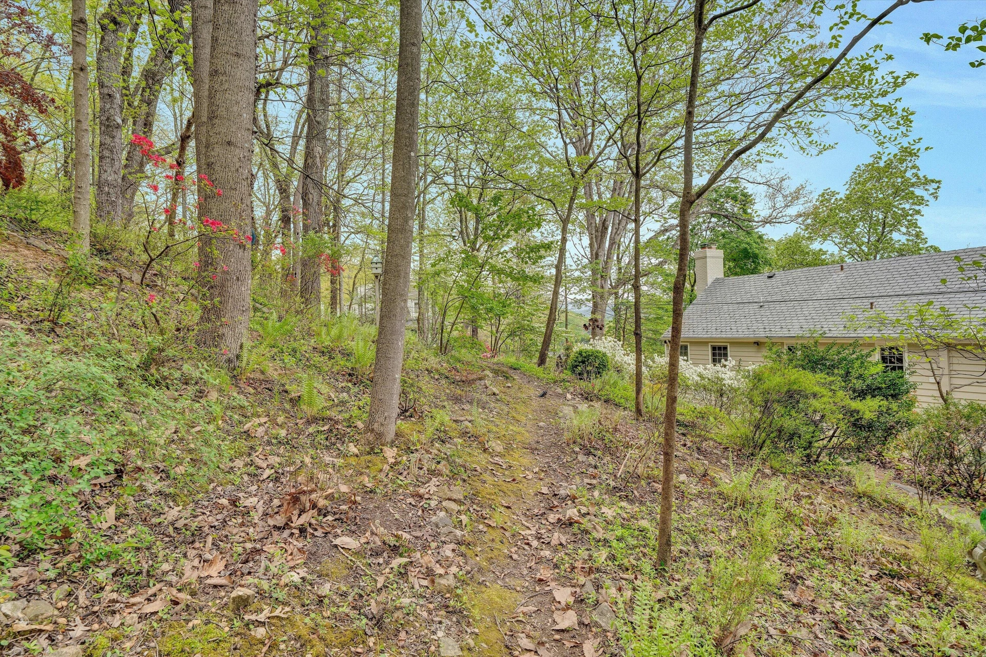 2438 Robin Hood RD - Photo 73