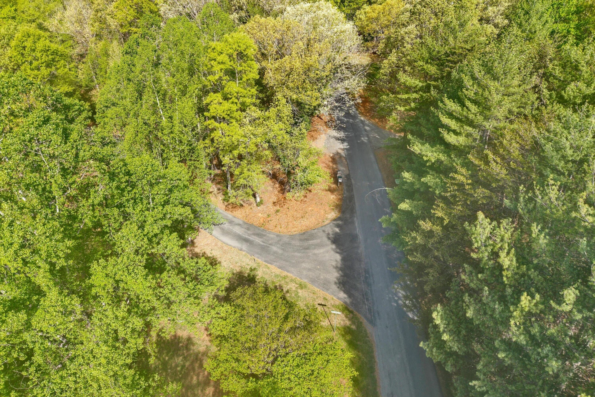Lot 2 Winding Timber LN - Photo 11