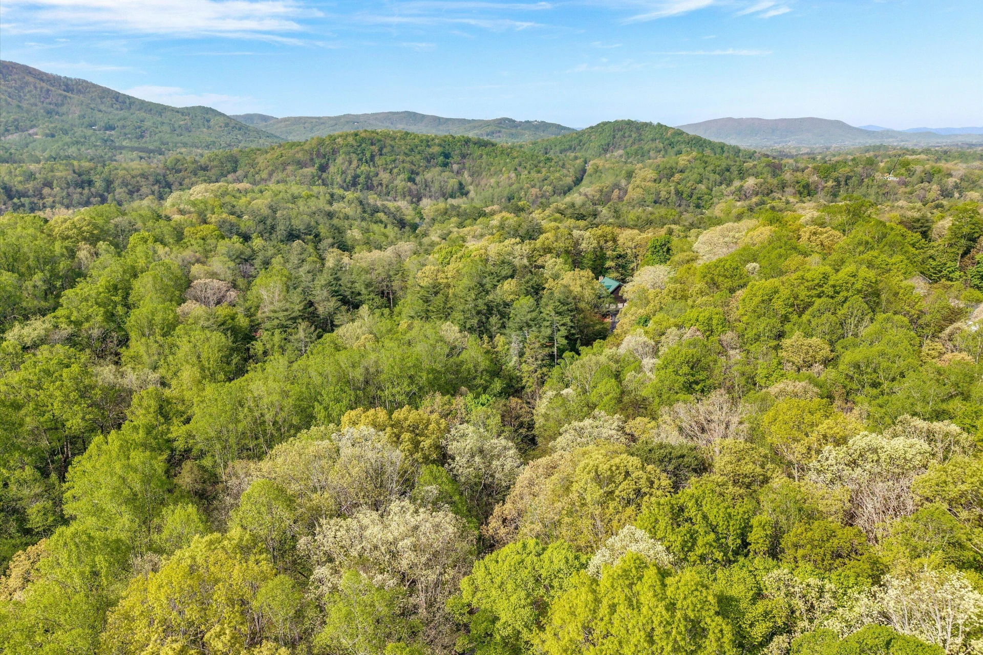 Lot 2 Winding Timber LN - Photo 12