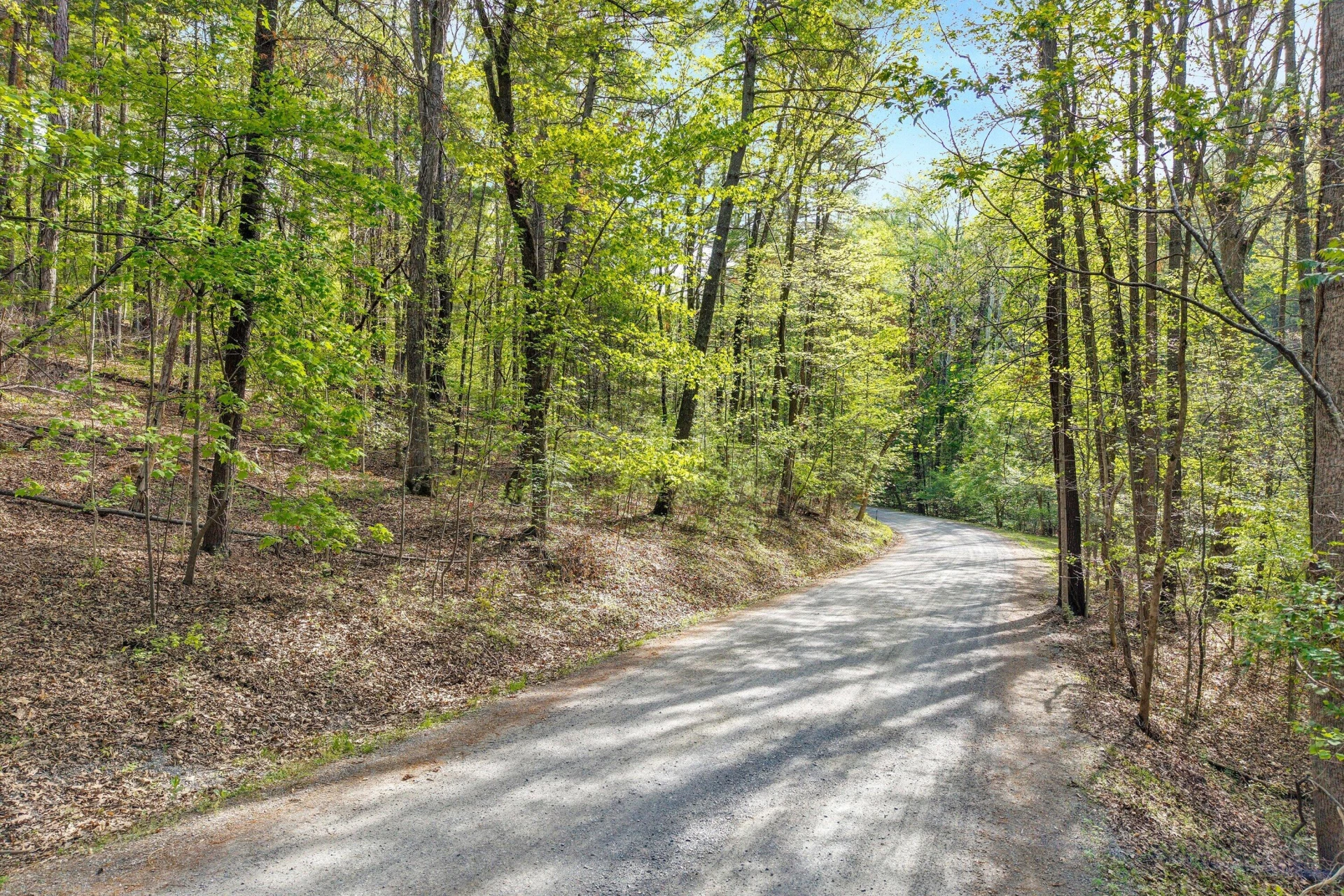 Lot 2 Winding Timber LN - Photo 2