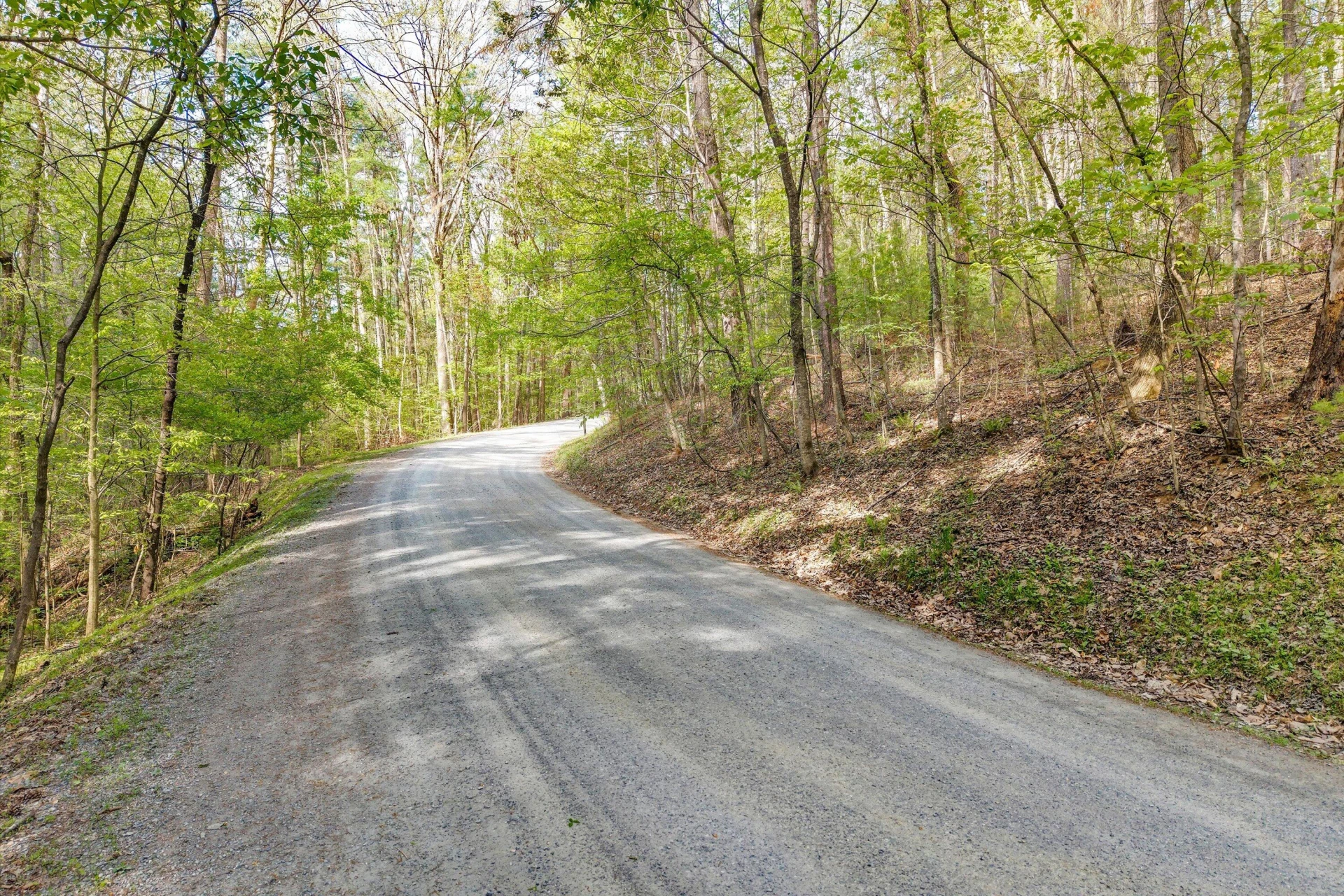 Lot 2 Winding Timber LN - Photo 3