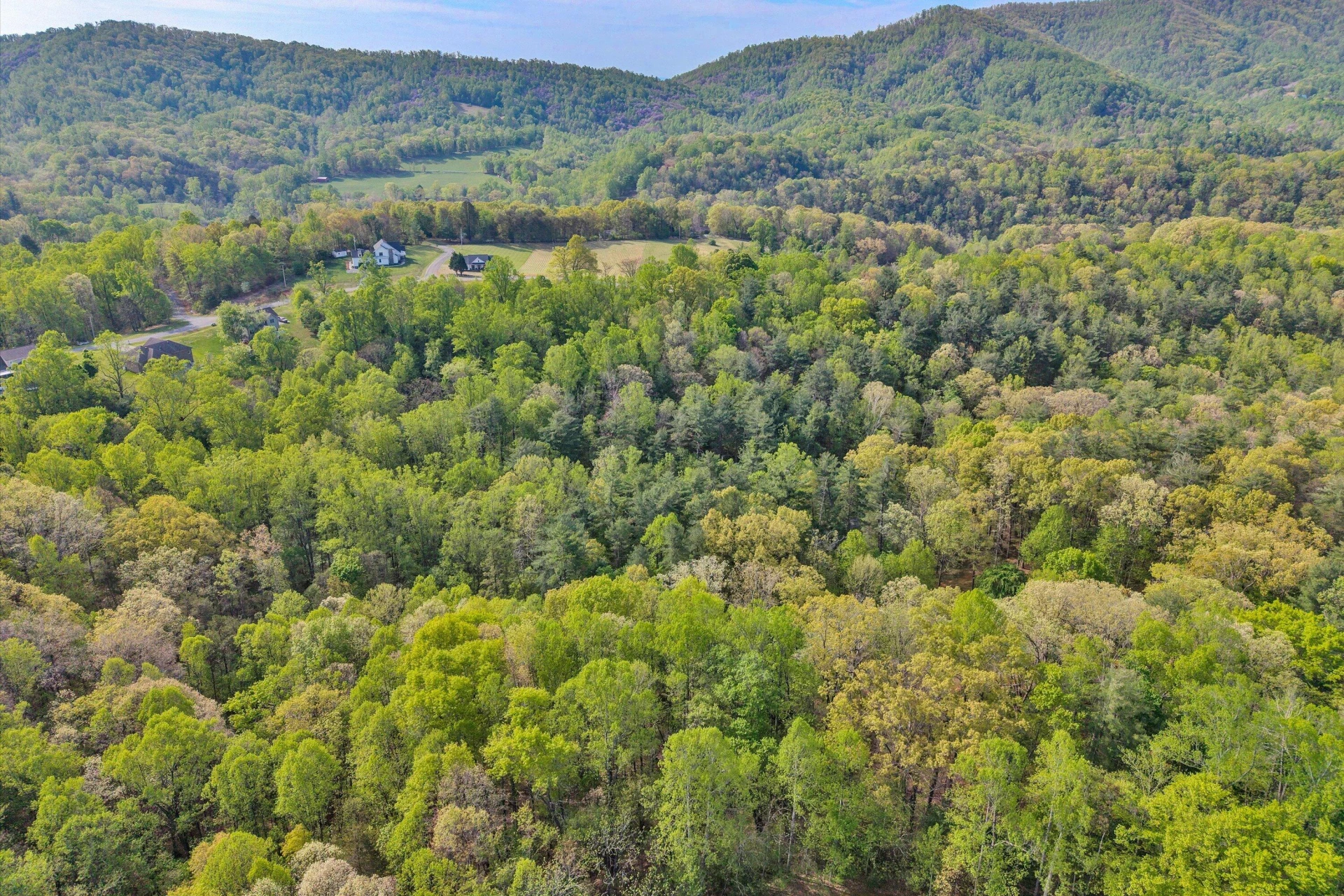 Lot 2 Winding Timber LN - Photo 6
