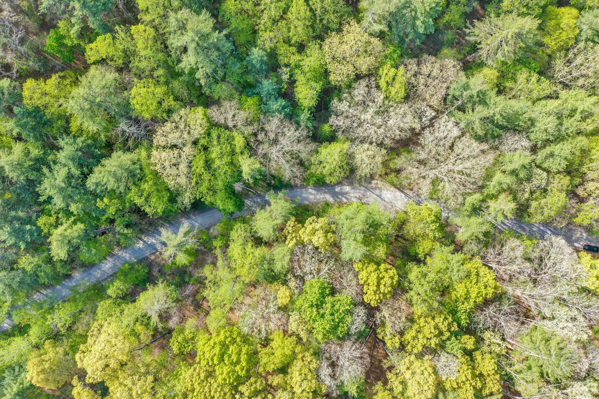 Lot 2 Winding Timber LN - Photo 7