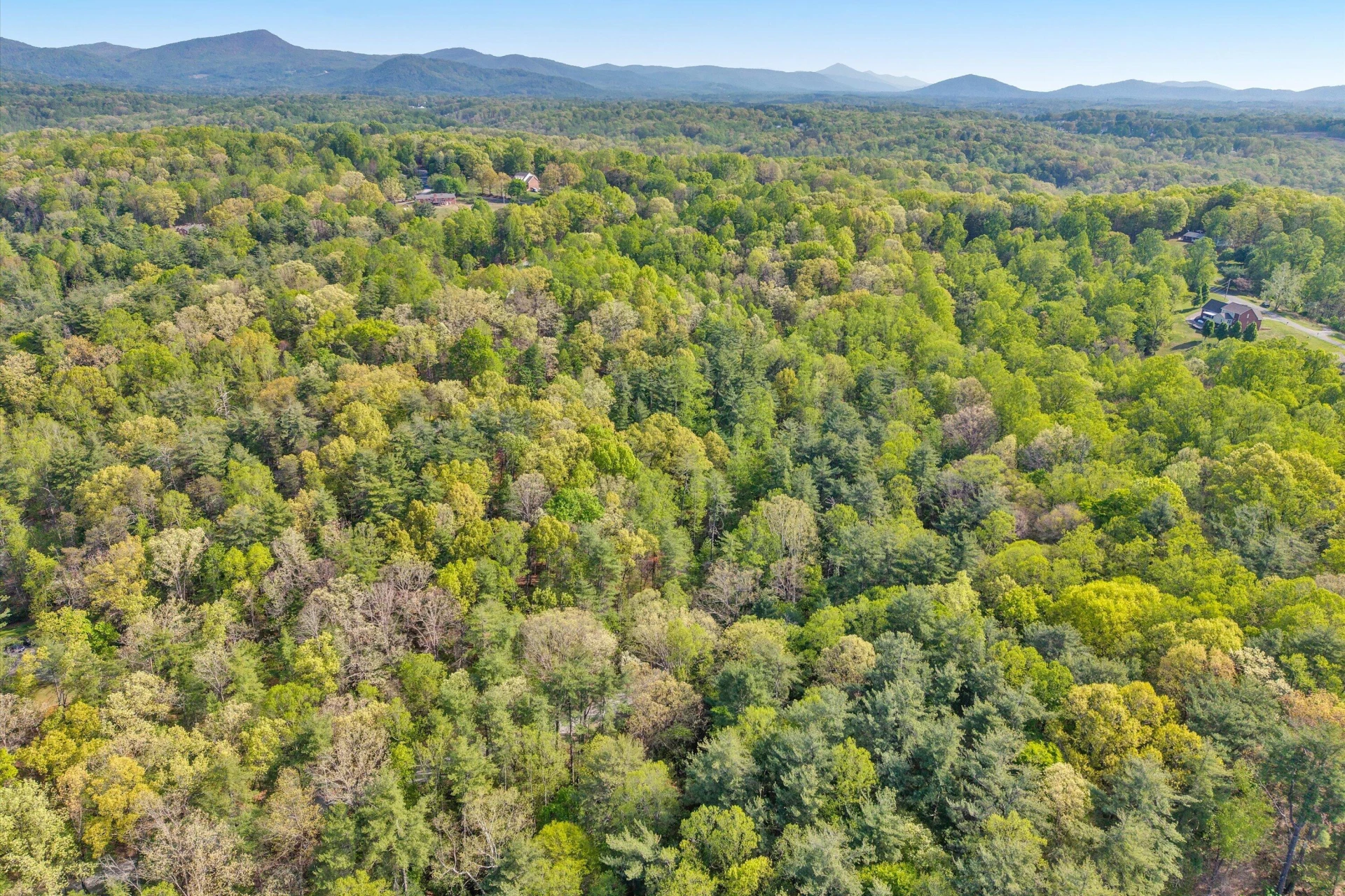 Lot 2 Winding Timber LN - Photo 8