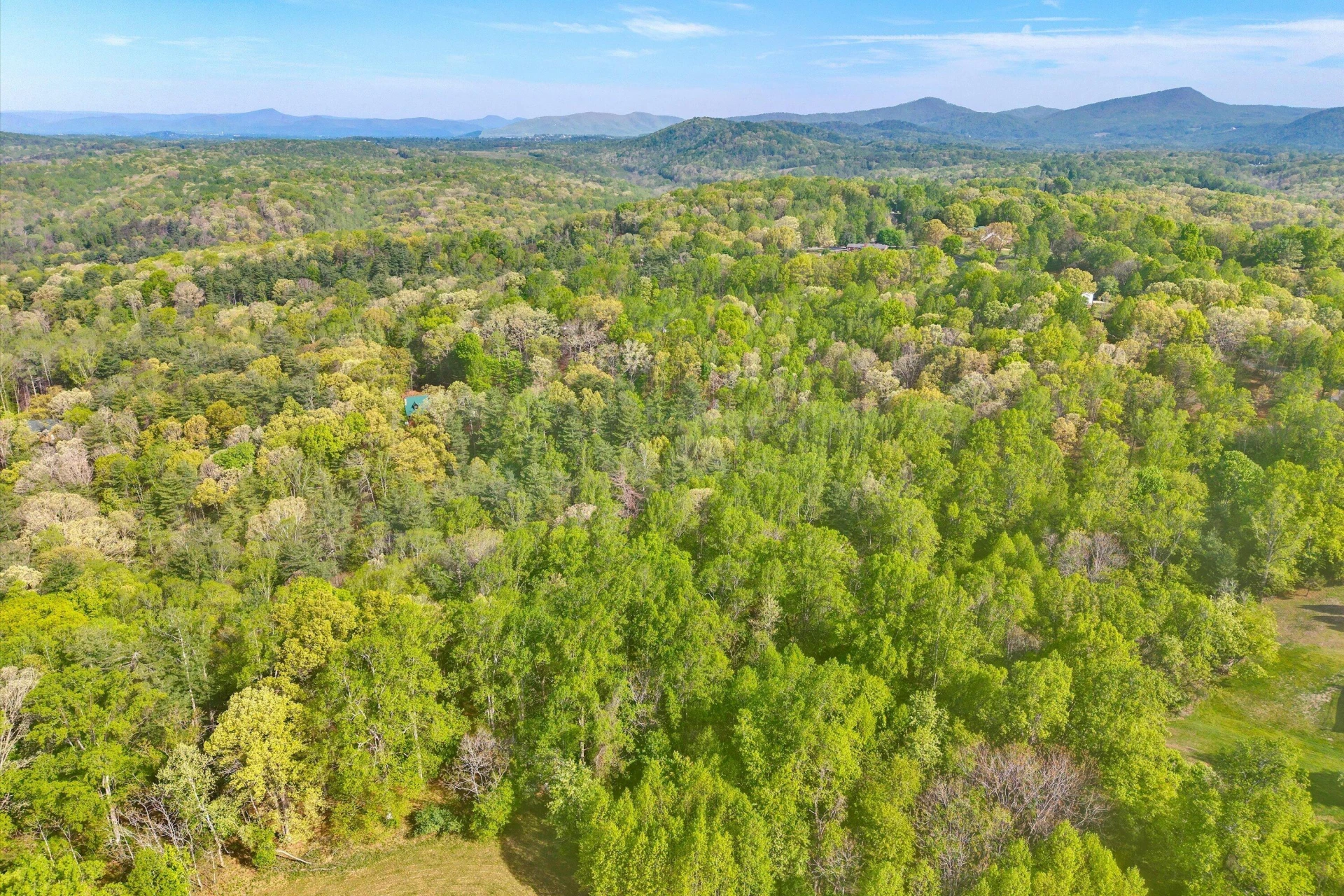 Lot 2 Winding Timber LN - Photo 9