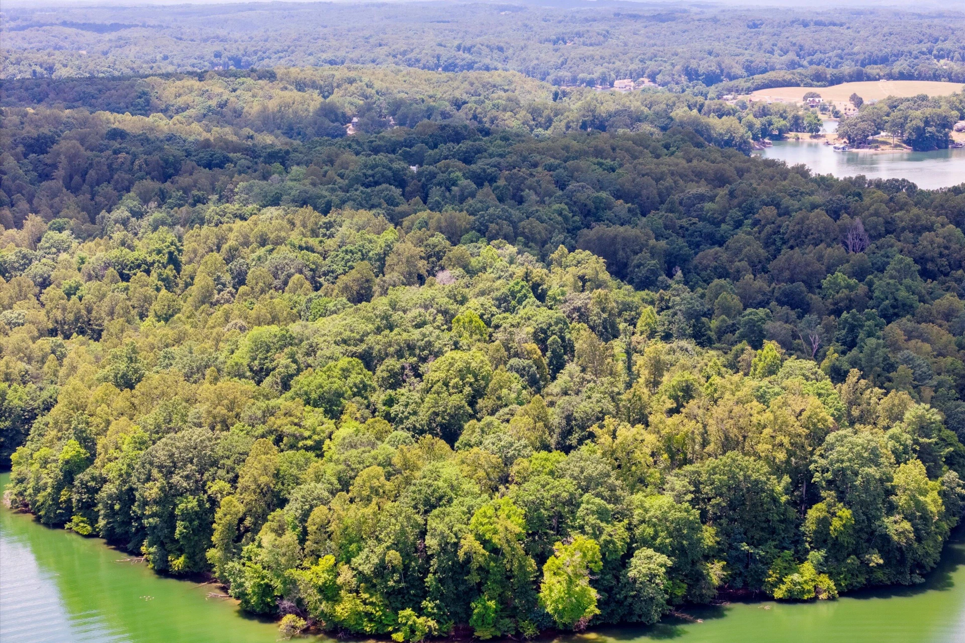 250 Montilago DR - Photo 13