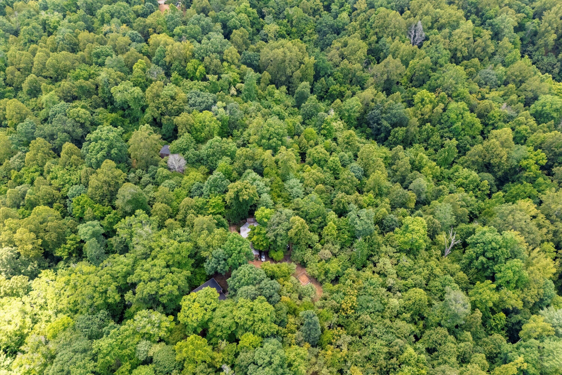 250 Montilago DR - Photo 15