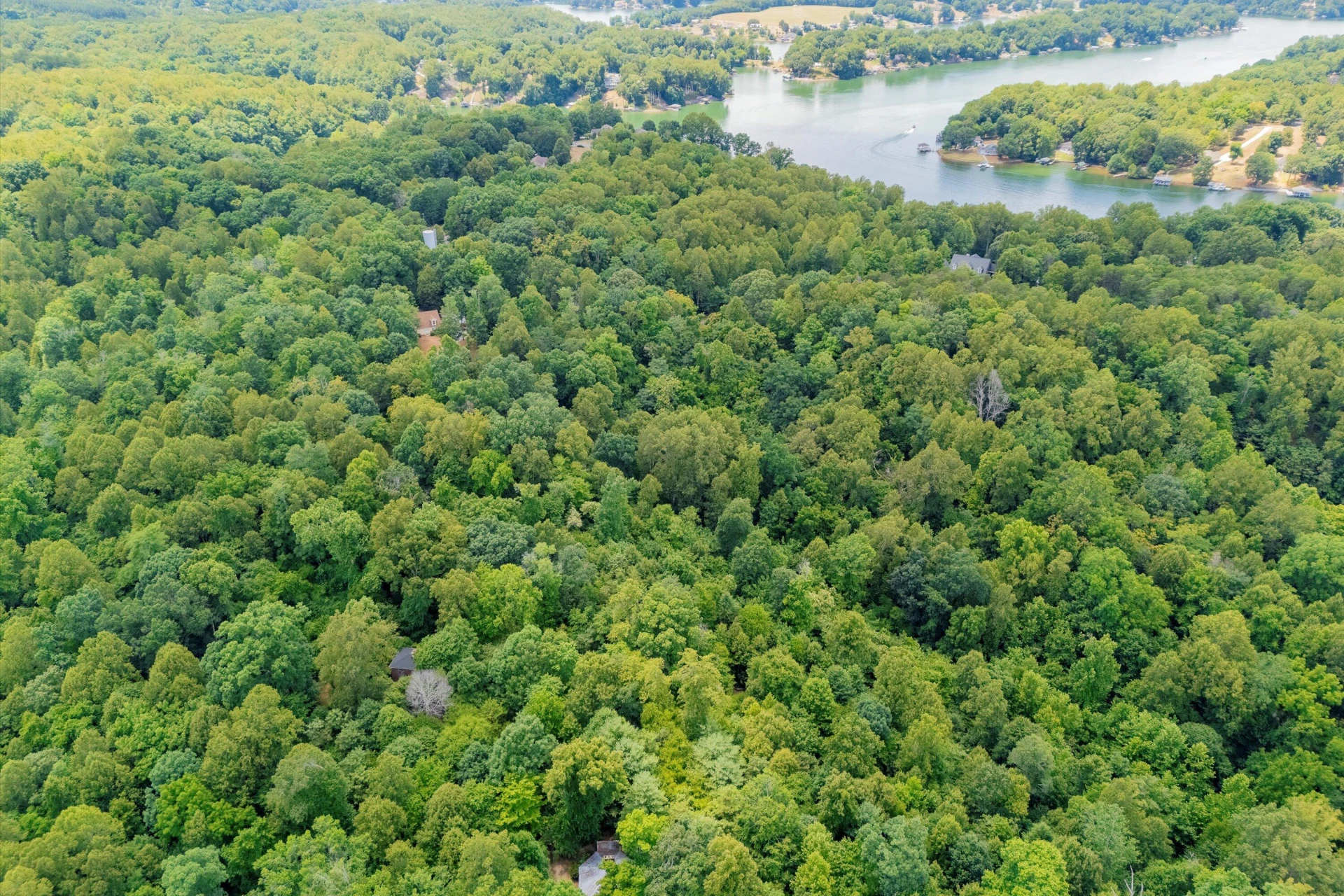 250 Montilago DR - Photo 16