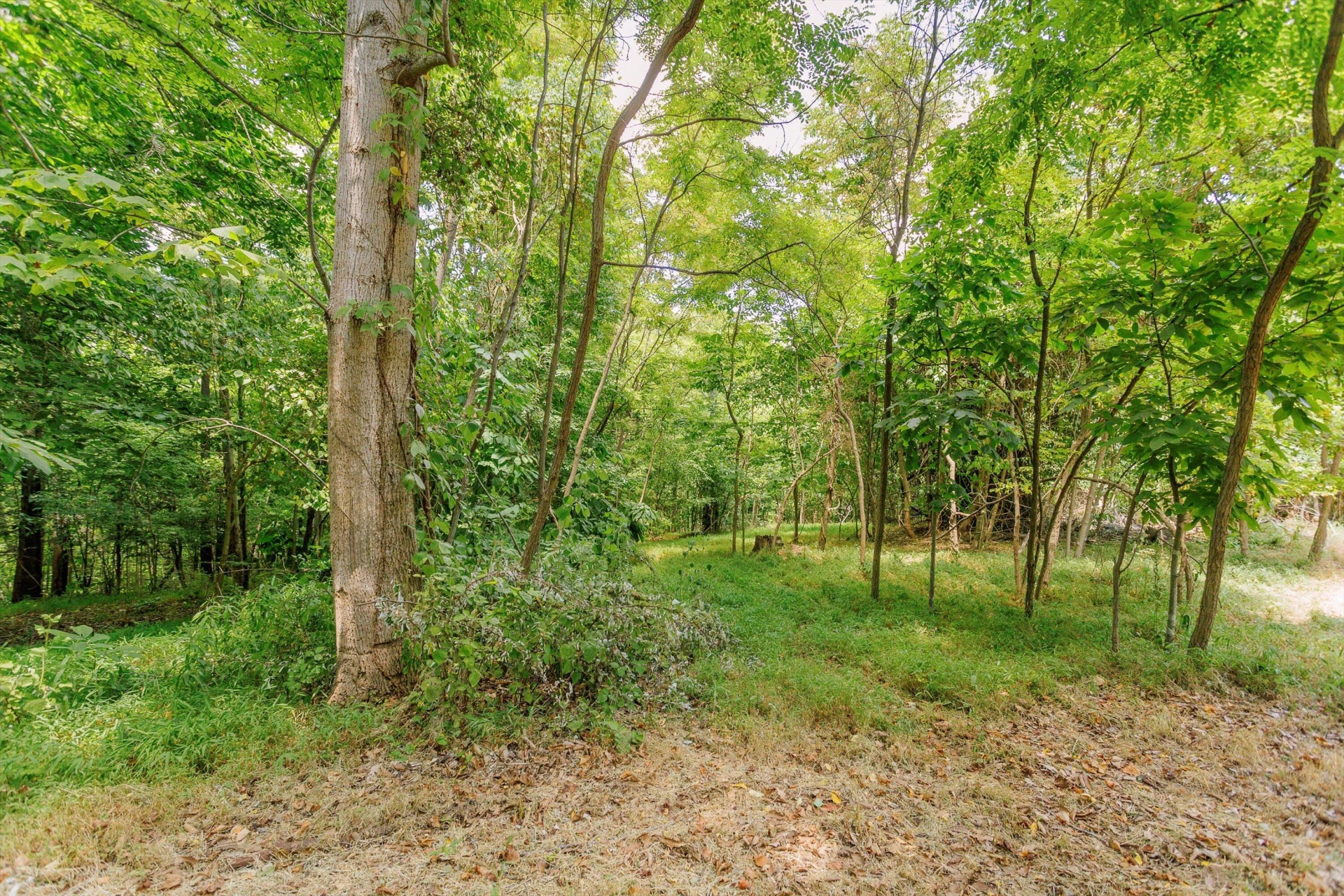 250 Montilago DR - Photo 18
