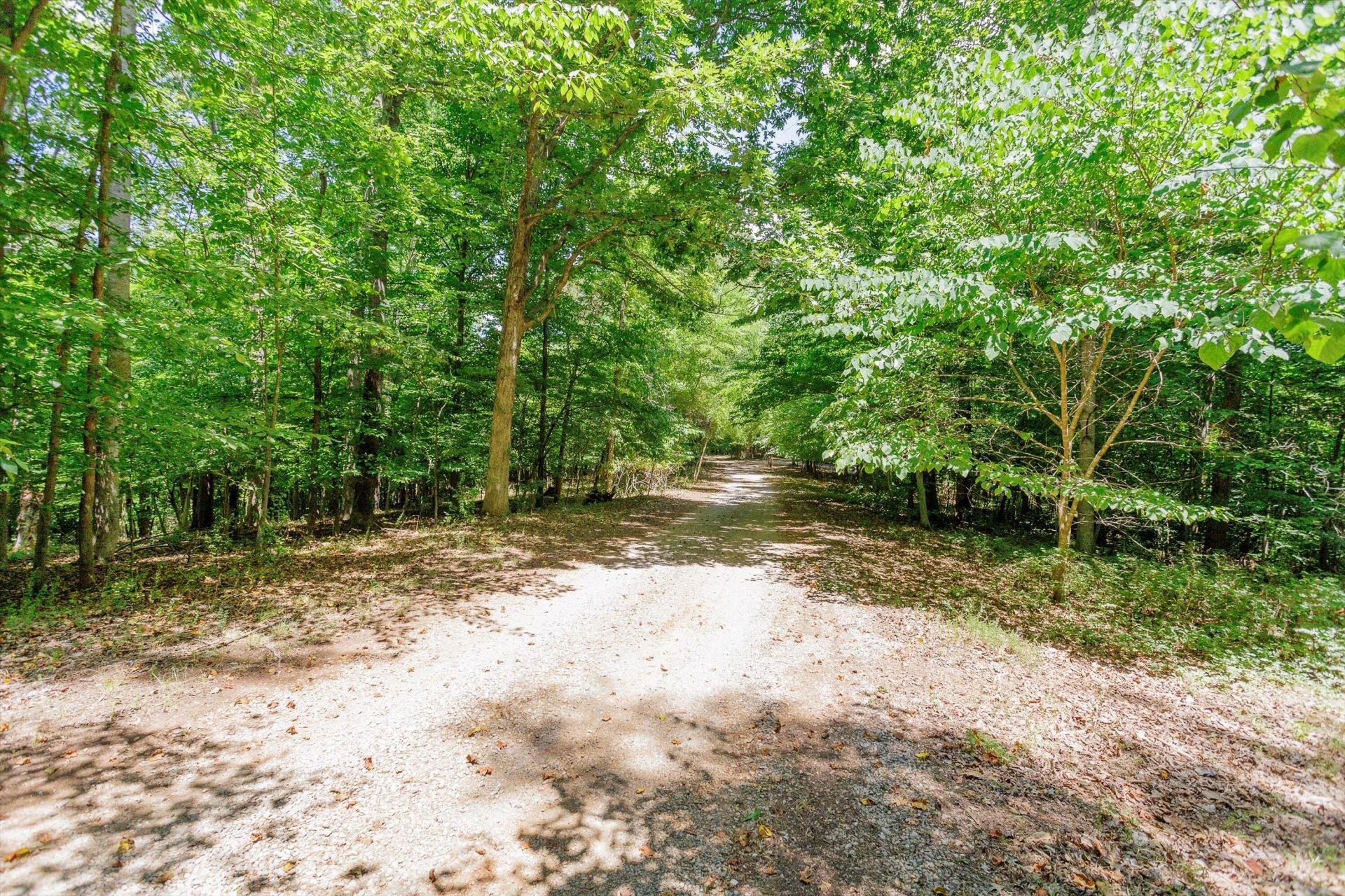 250 Montilago DR - Photo 24