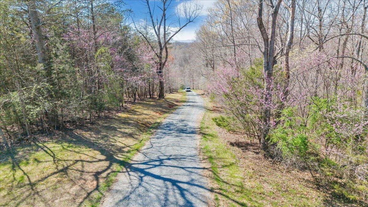 239 Blackwater Landing DR - Photo 113