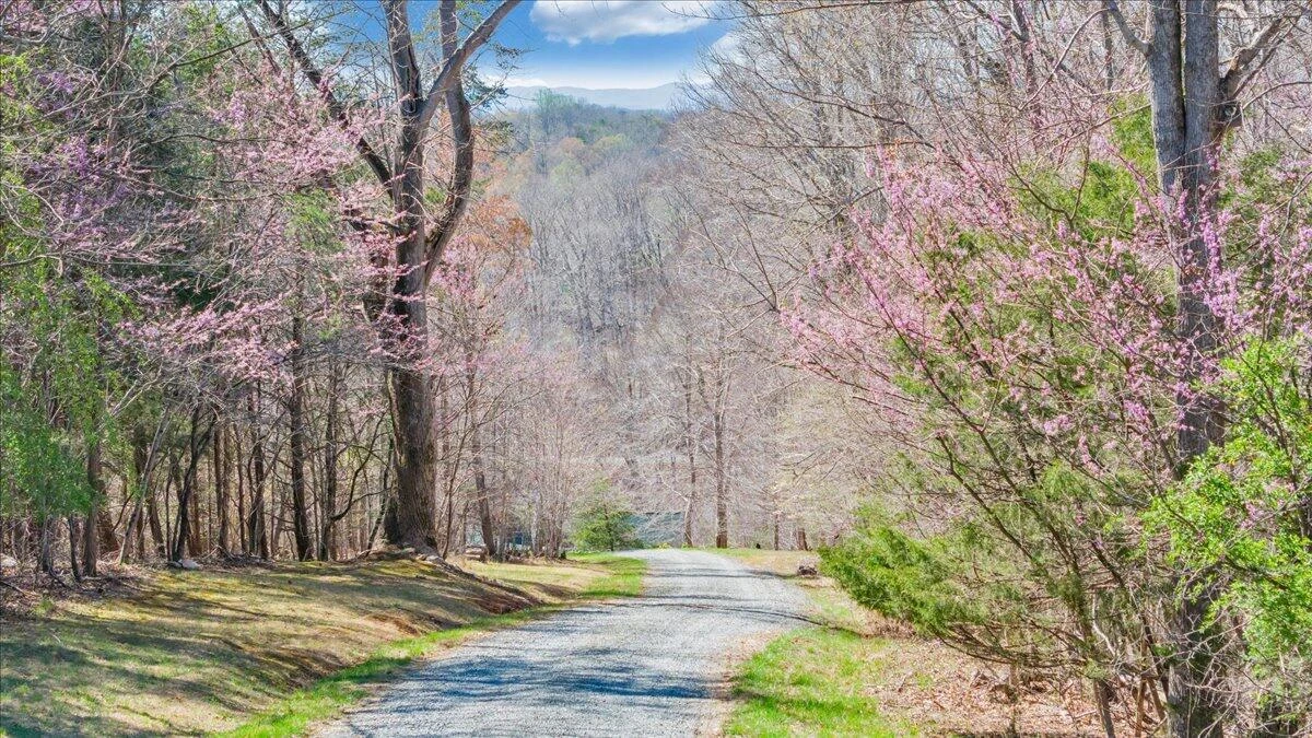 239 Blackwater Landing DR - Photo 114