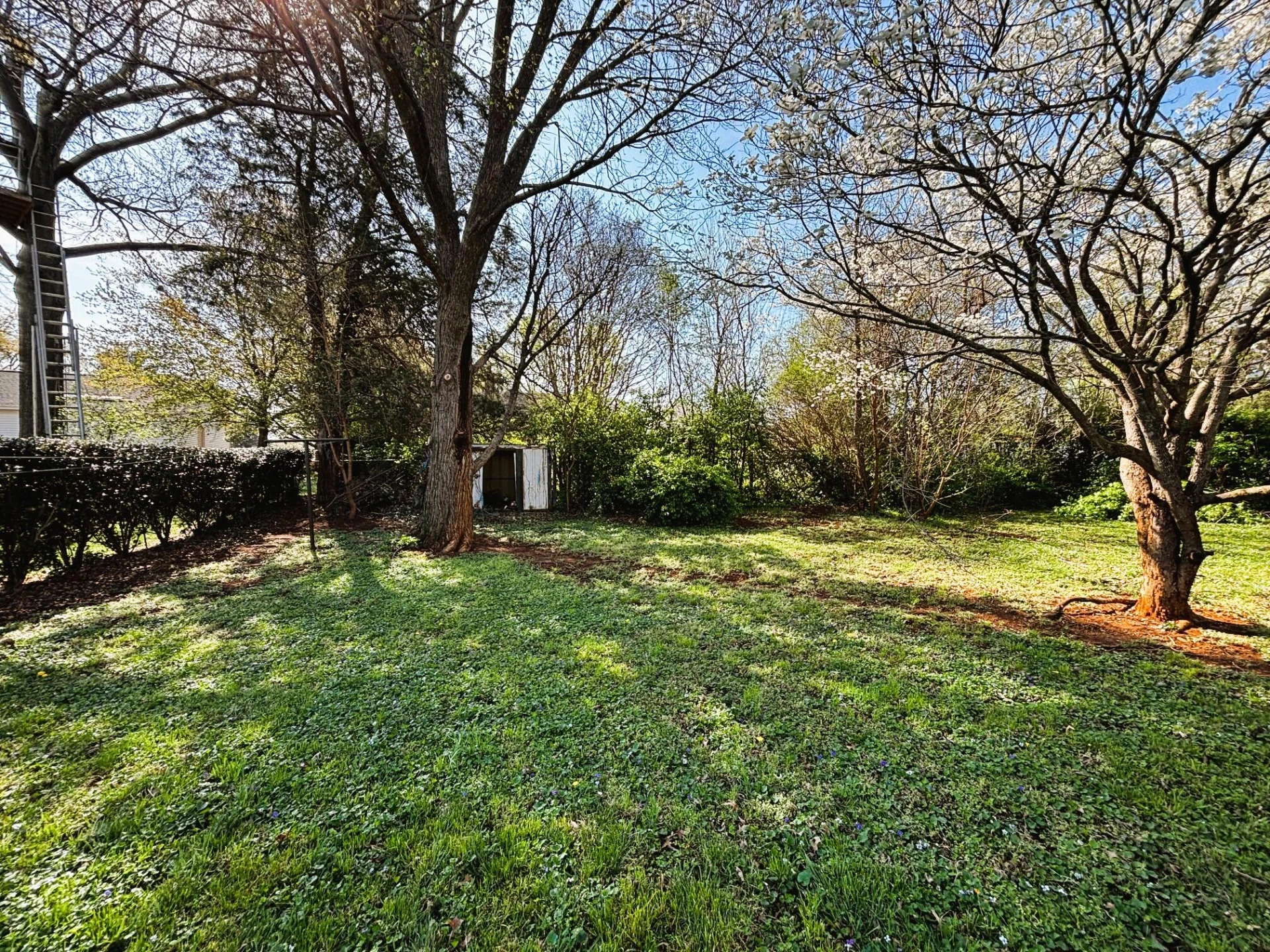 902 Whitney AVE - Photo 12
