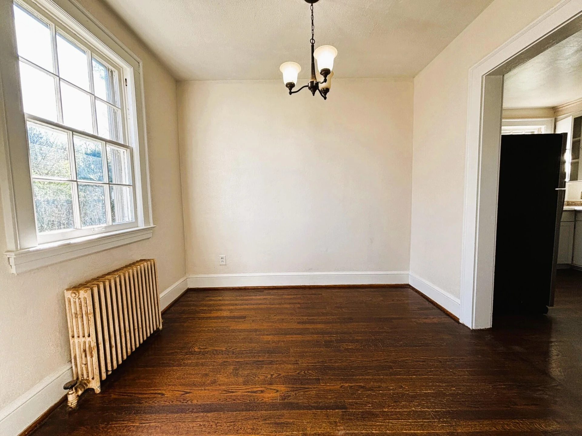 902 Whitney AVE - Photo 4