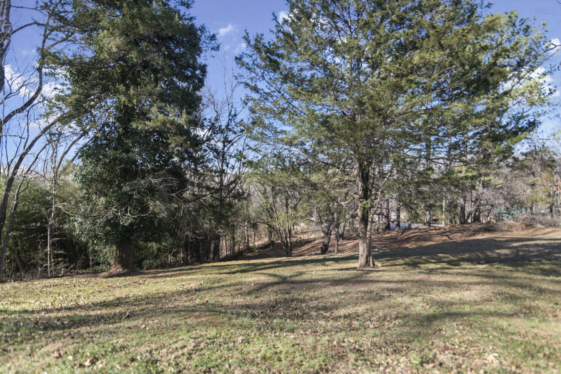 525 Monticello AVE - Photo 38