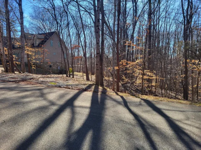 0 Ridgeway CT, Moneta, VA, 24121