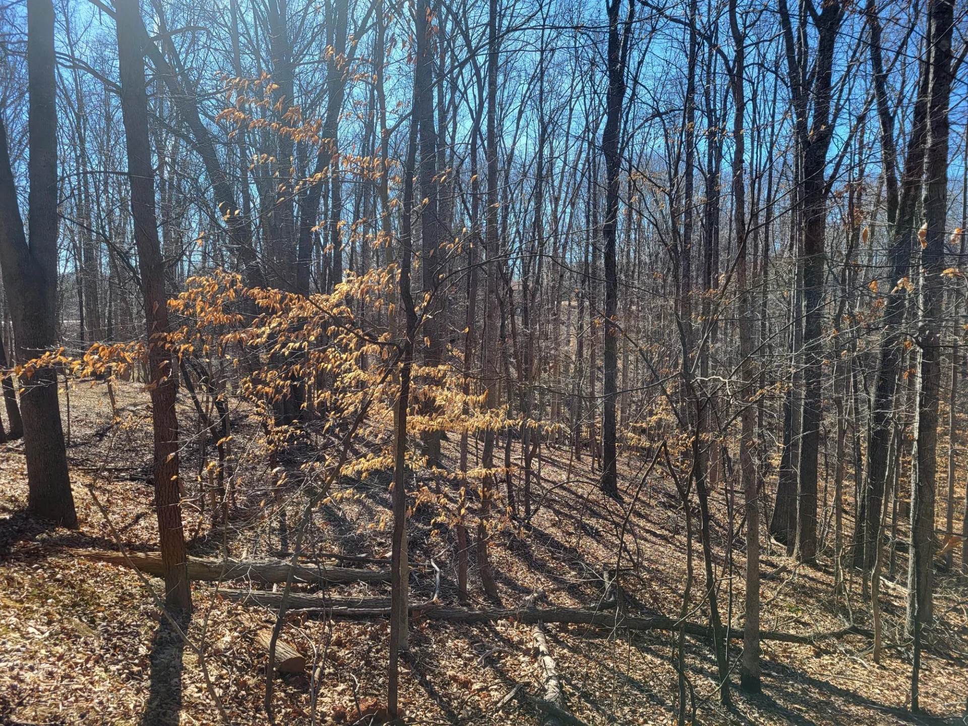 0 Ridgeway CT - Photo 2