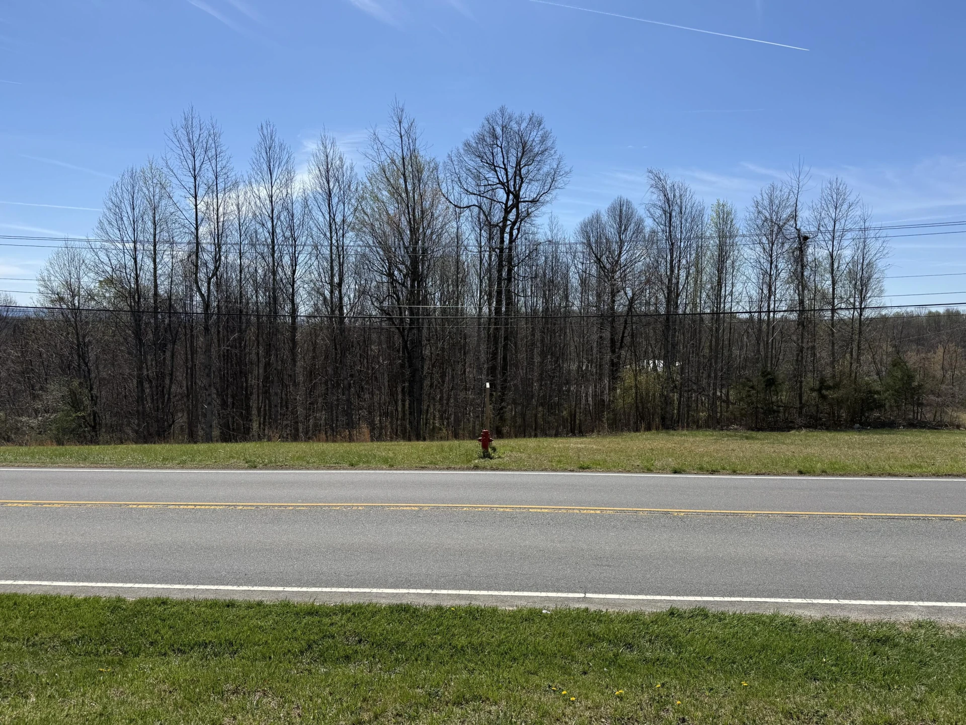 TRACT 3-A BOOKER T WASHINGTON HWY - Photo 5