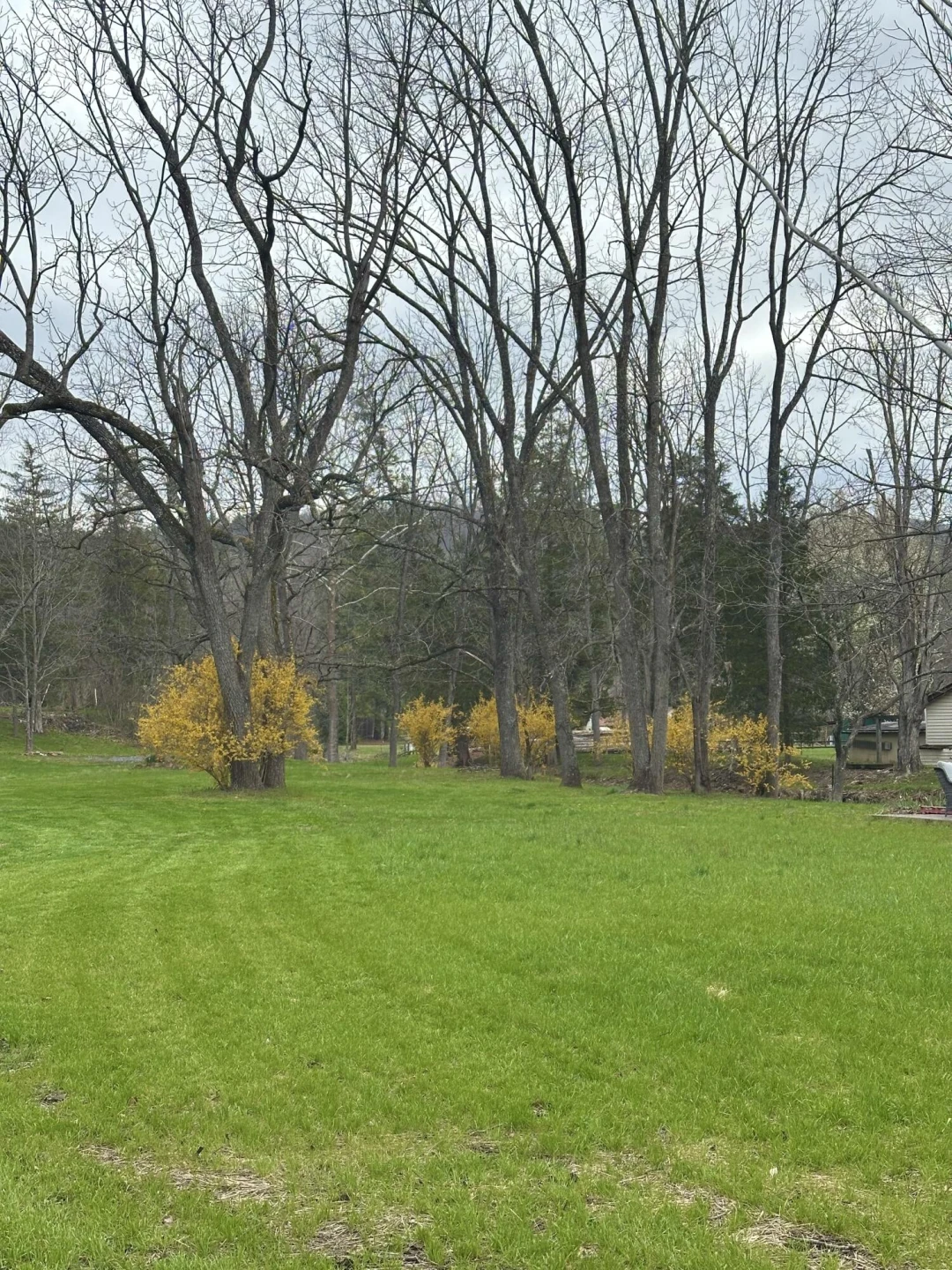 800 Morris Hill RD - Photo 101