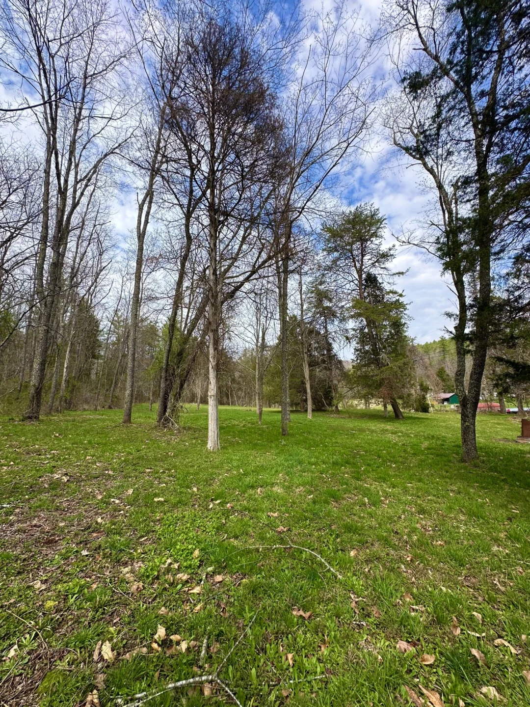 800 Morris Hill RD - Photo 104