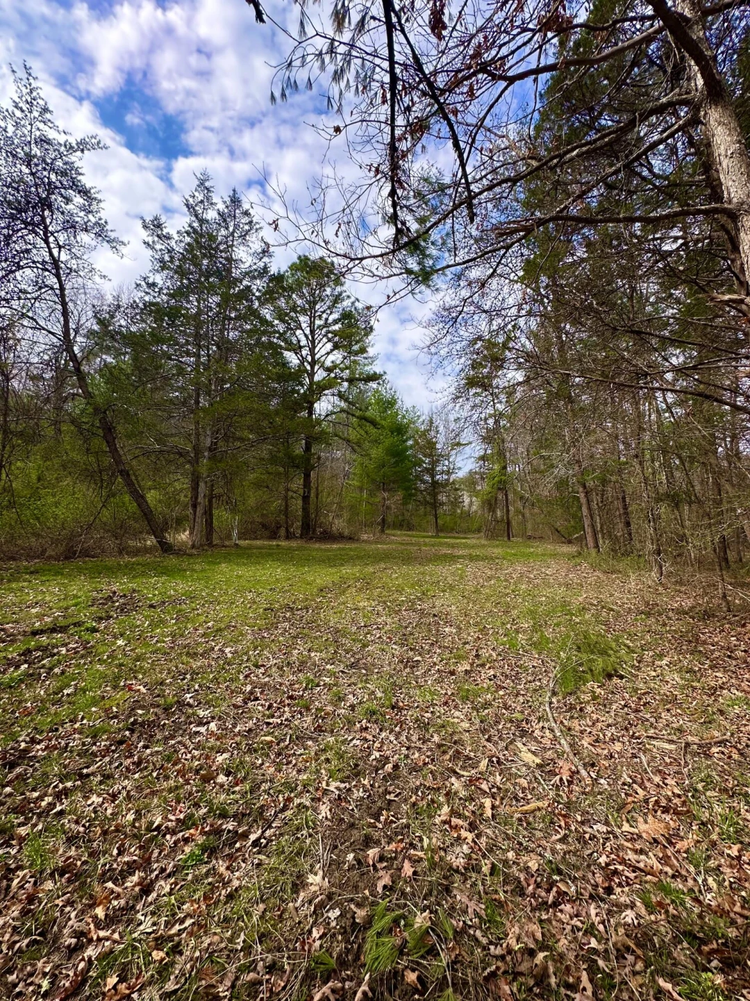 800 Morris Hill RD - Photo 108