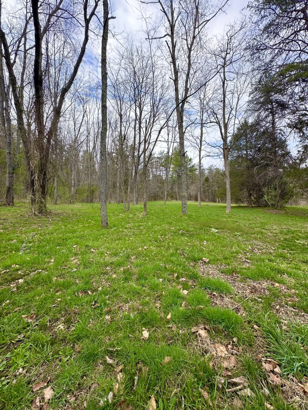 800 Morris Hill RD - Photo 111