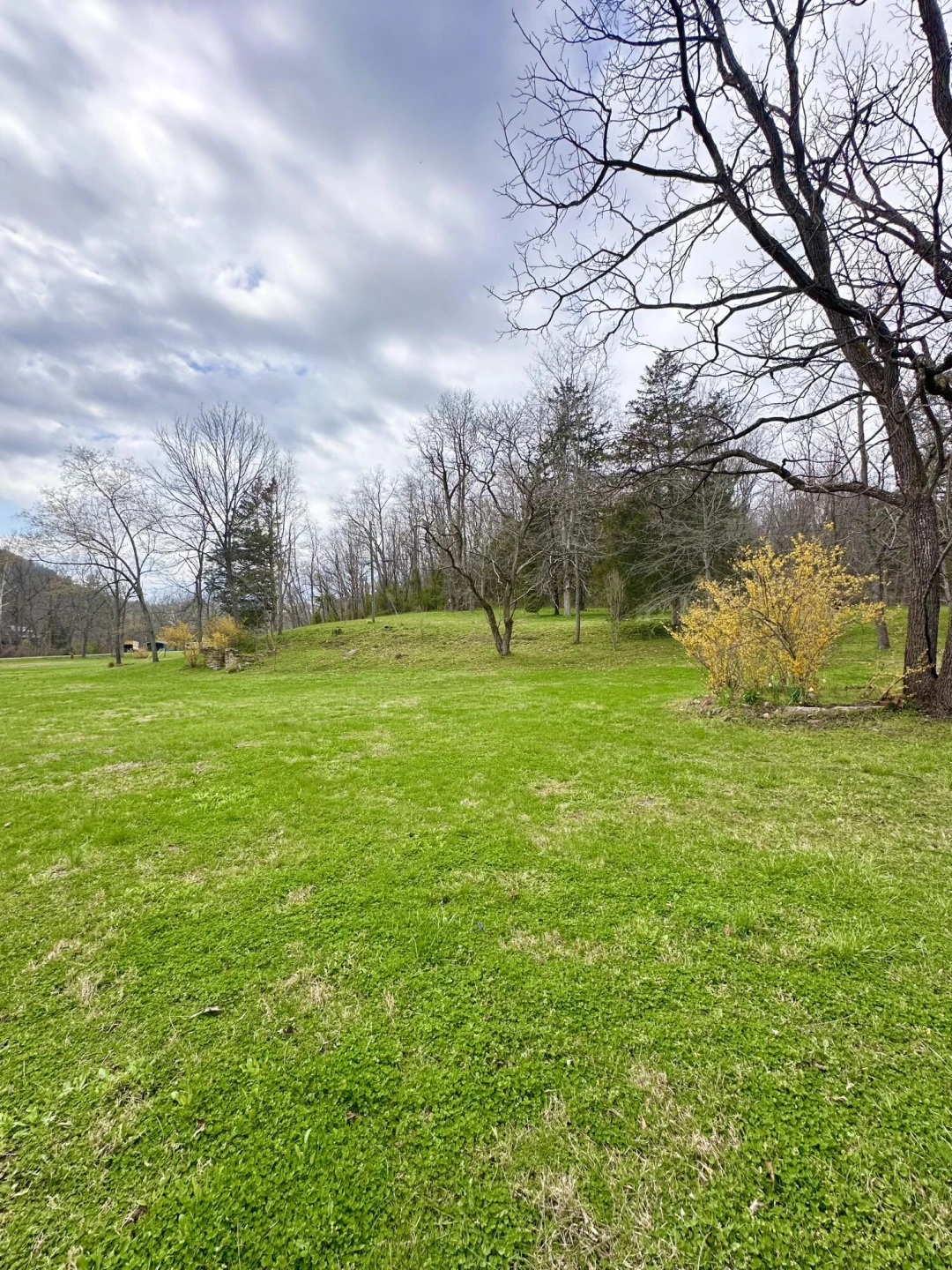 800 Morris Hill RD - Photo 112