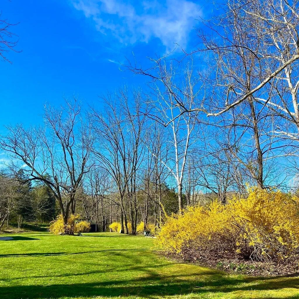 800 Morris Hill RD - Photo 126