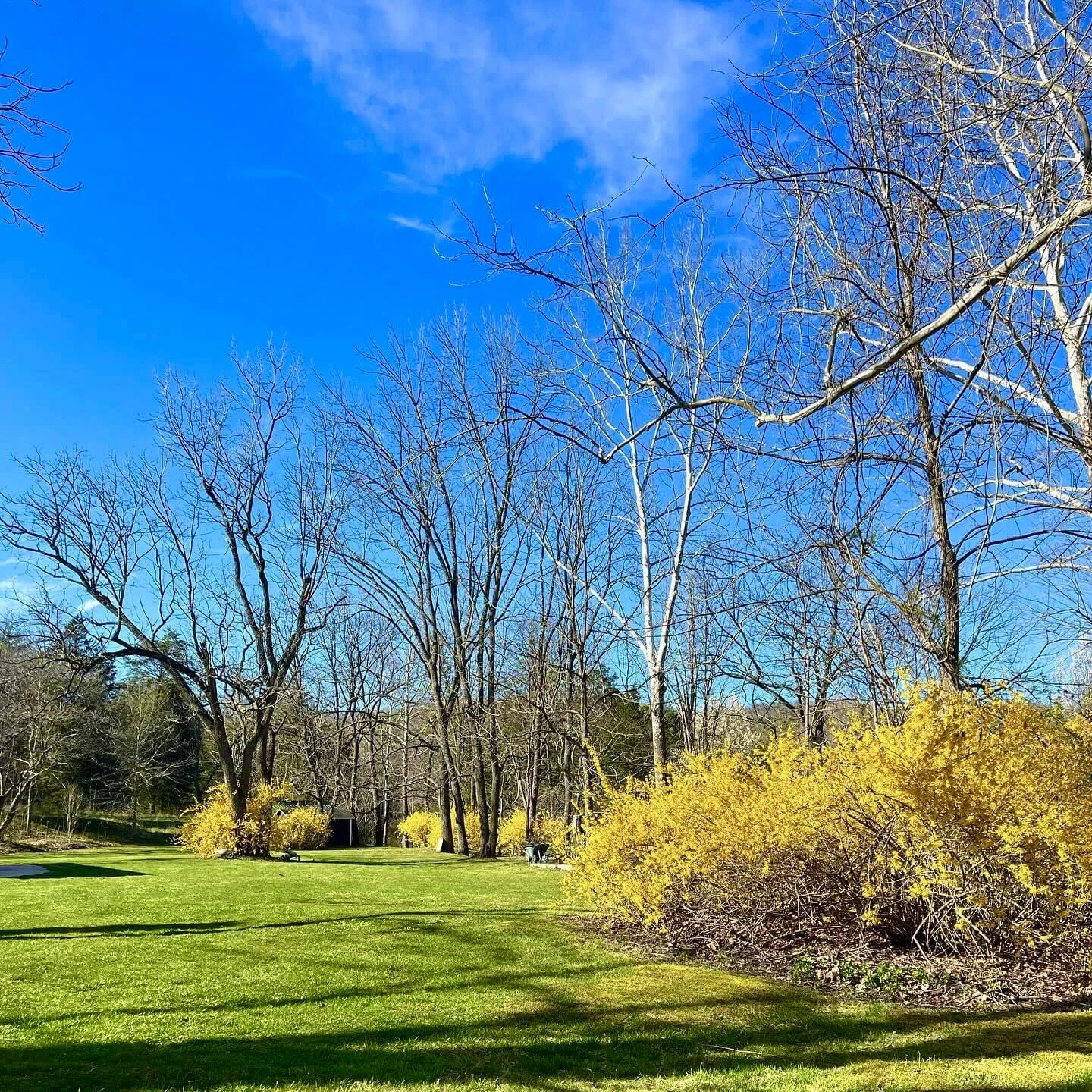 800 Morris Hill RD - Photo 23