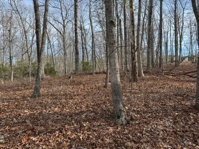 Lot 48 Old Mill DR, Hardy, VA, 24101