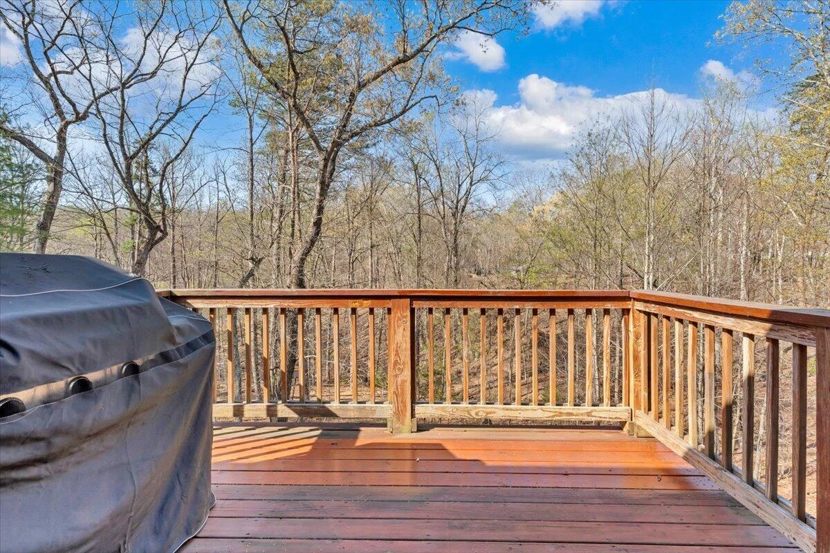 330 Chestnut Forest DR - Photo 41